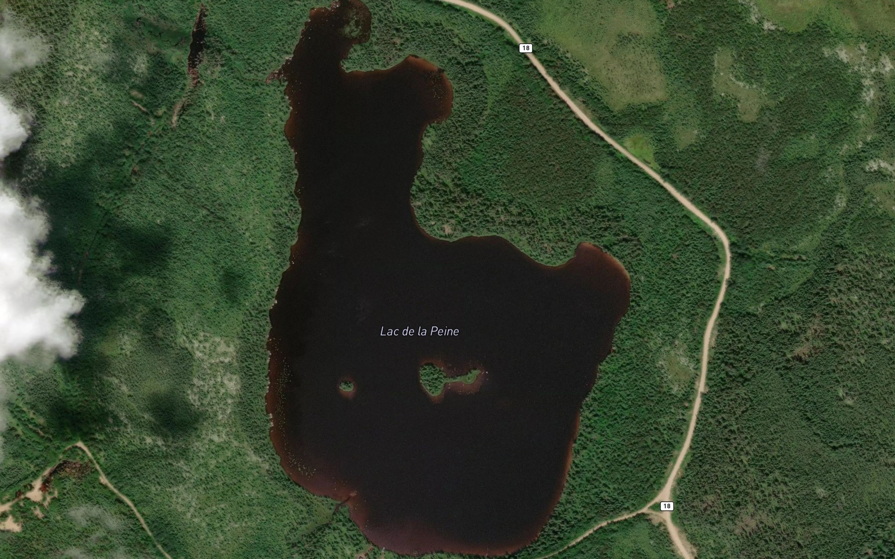 Satellite map of the Lac de la Peine