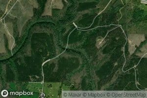 Whitehead Spring Branch