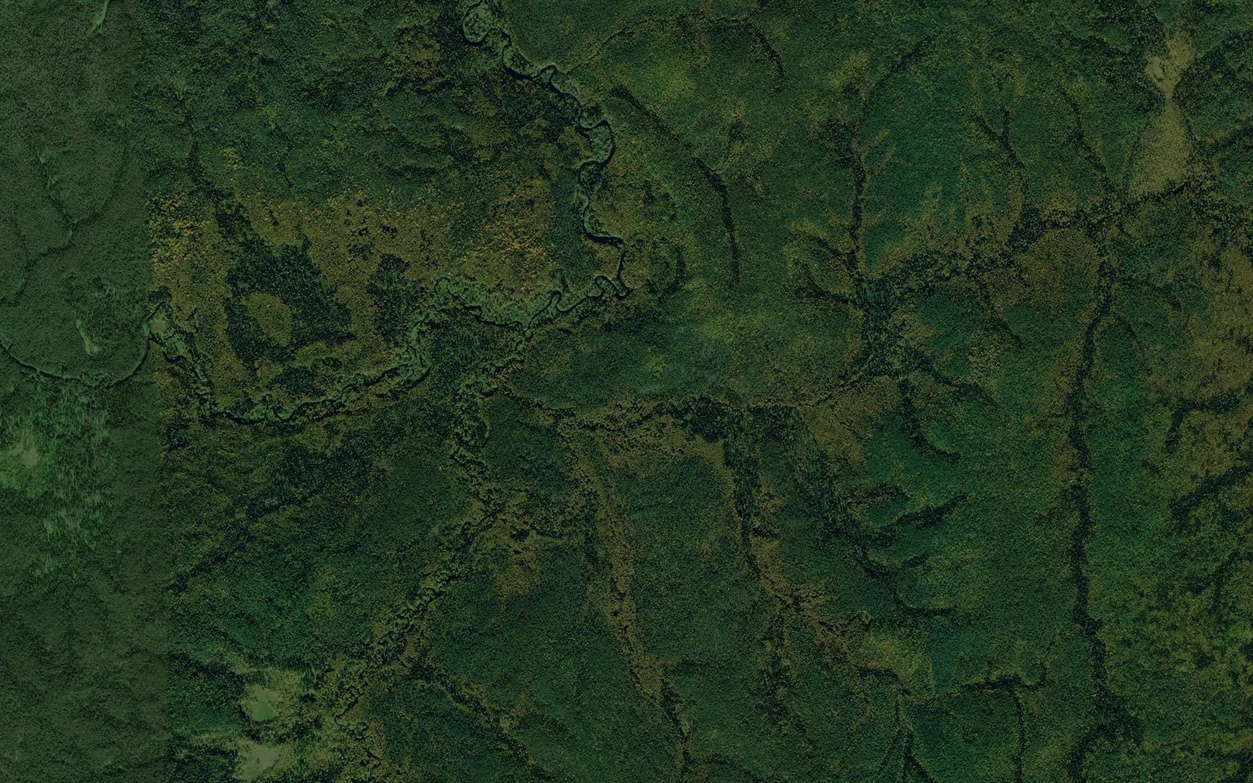 Satellite map of the Permozha