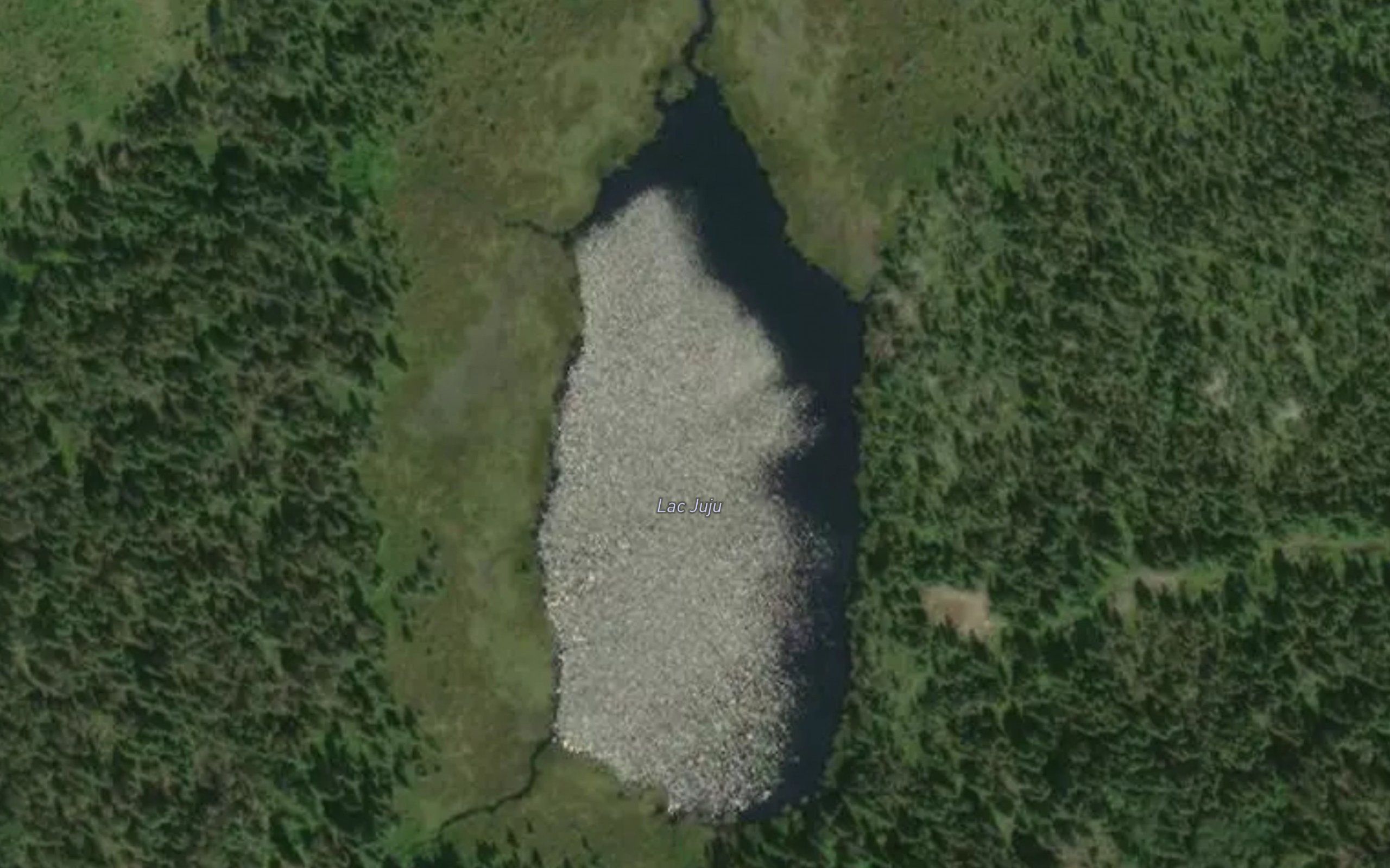 Lac Juju