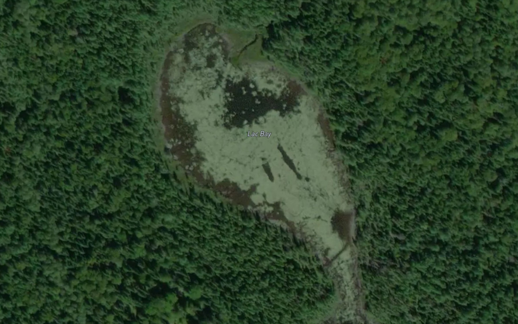 Satellite map of the Lac Bay
