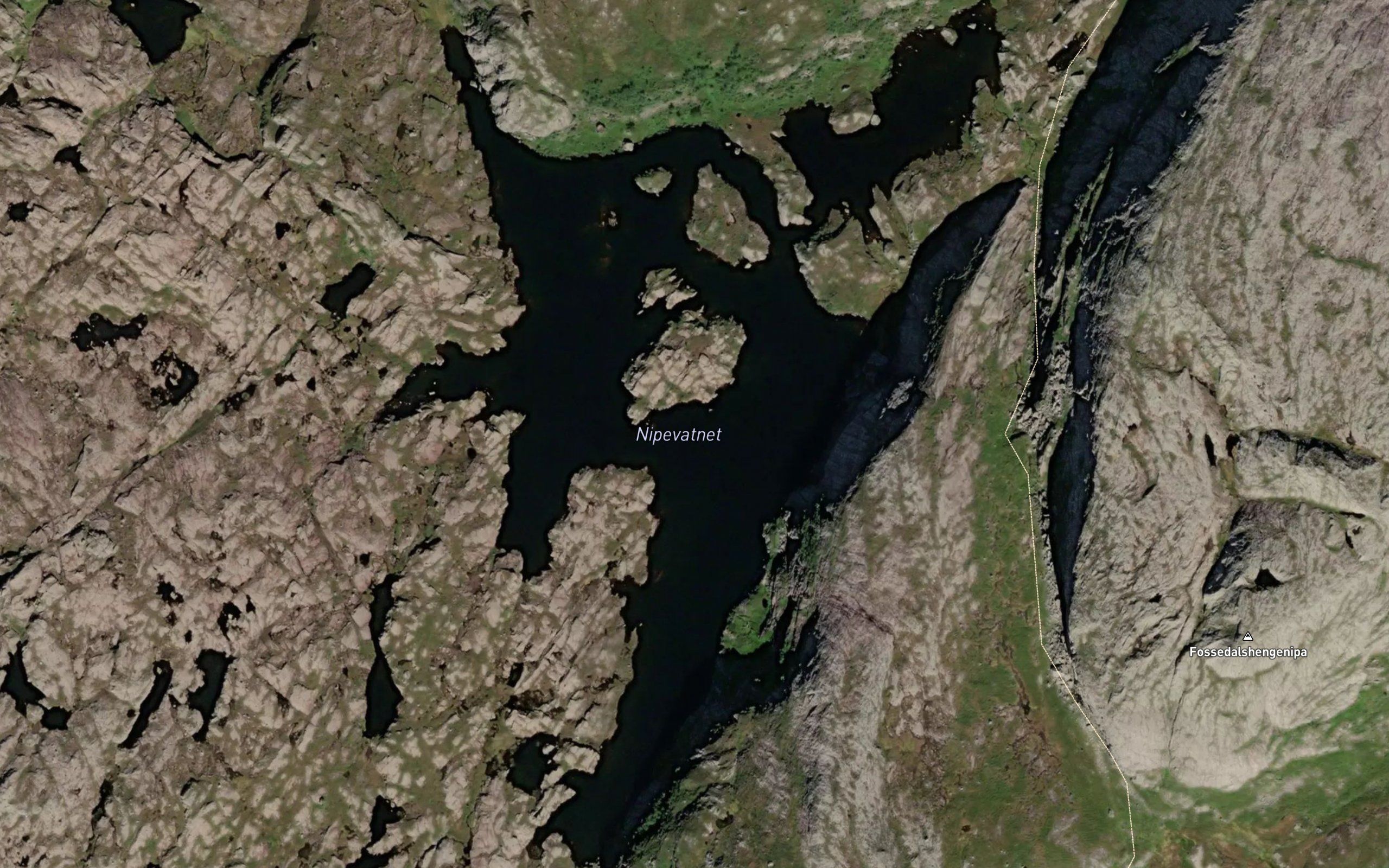 Nipevatnet