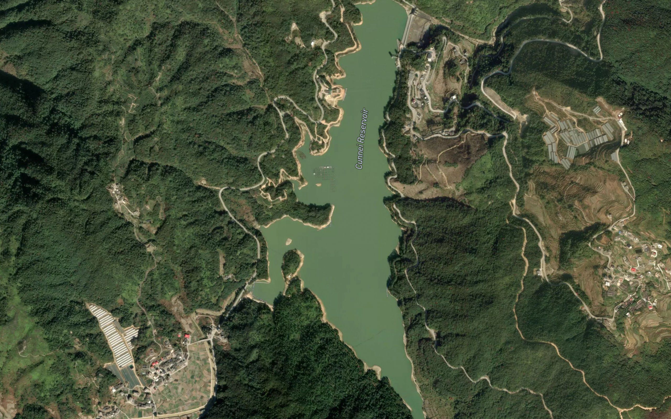 Cunnei Shuiku