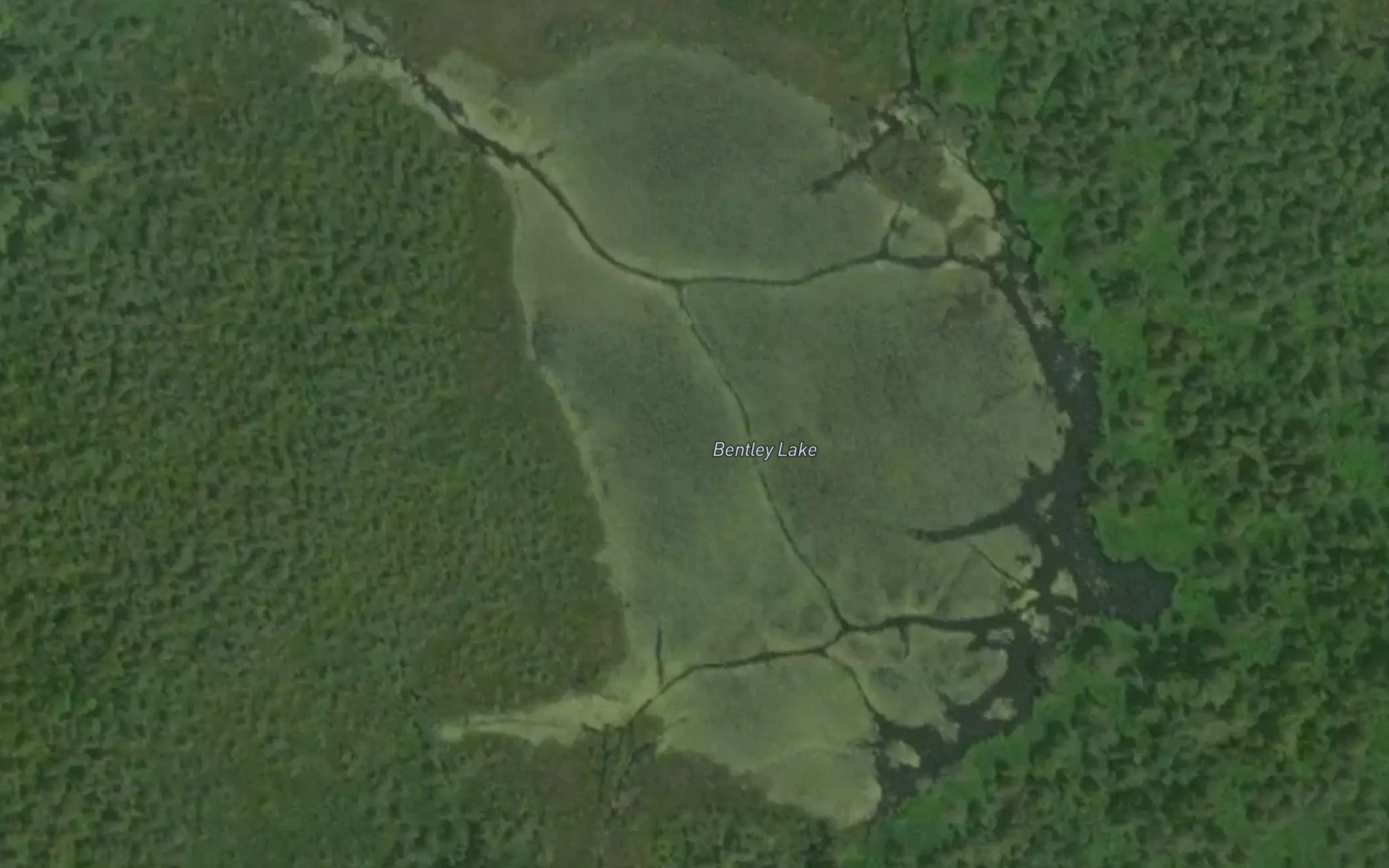 Satellite map of the Bentley Lake