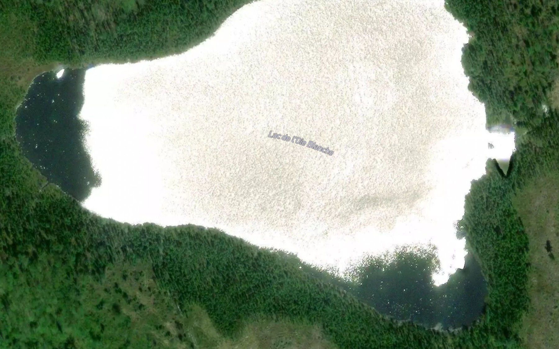 Satellite map of the Lac de l'Oie Blanche