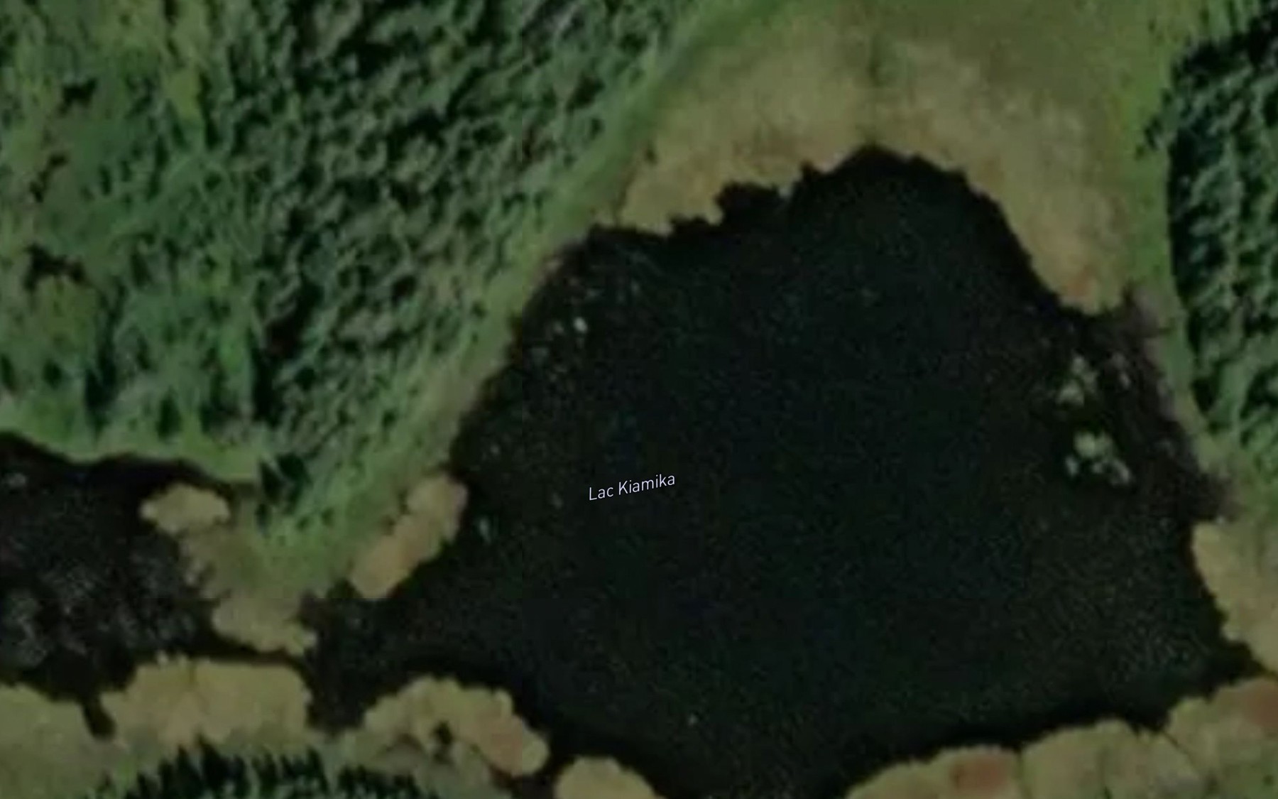 Satellite map of the Lac Kiamika
