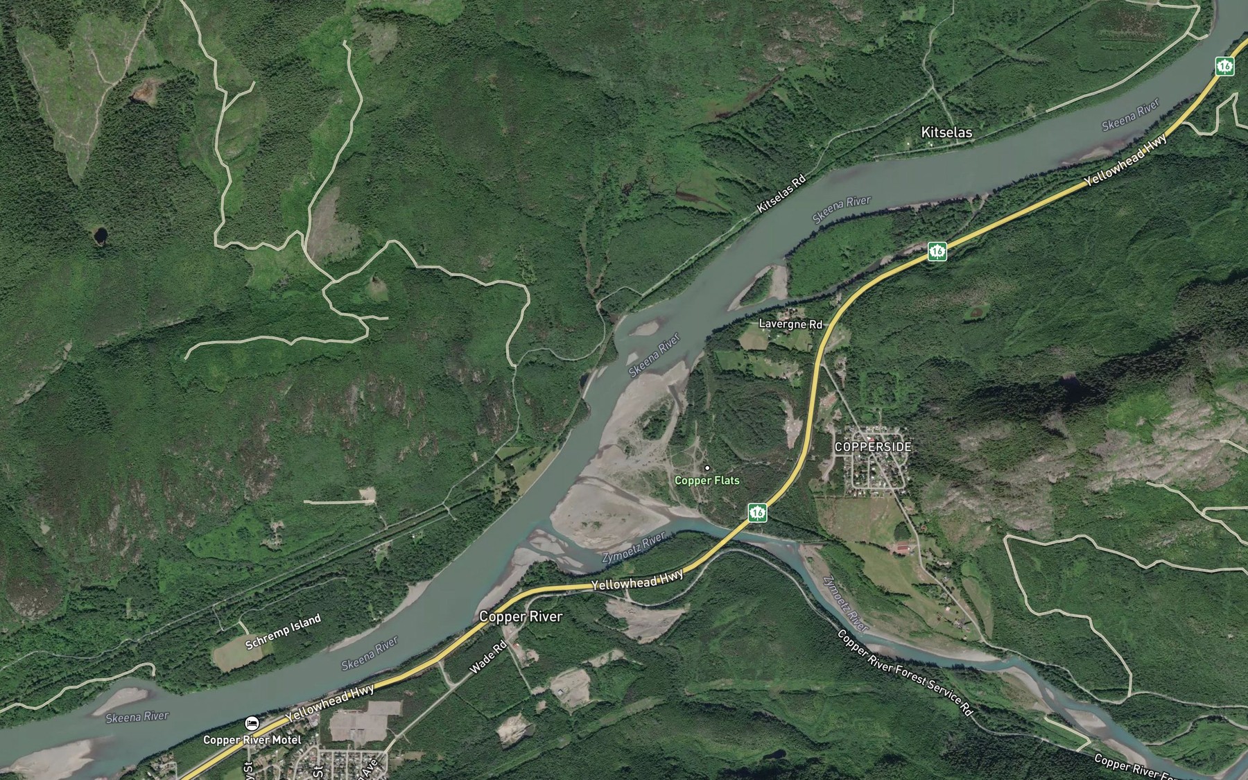 Satellite map of the Newtown Creek