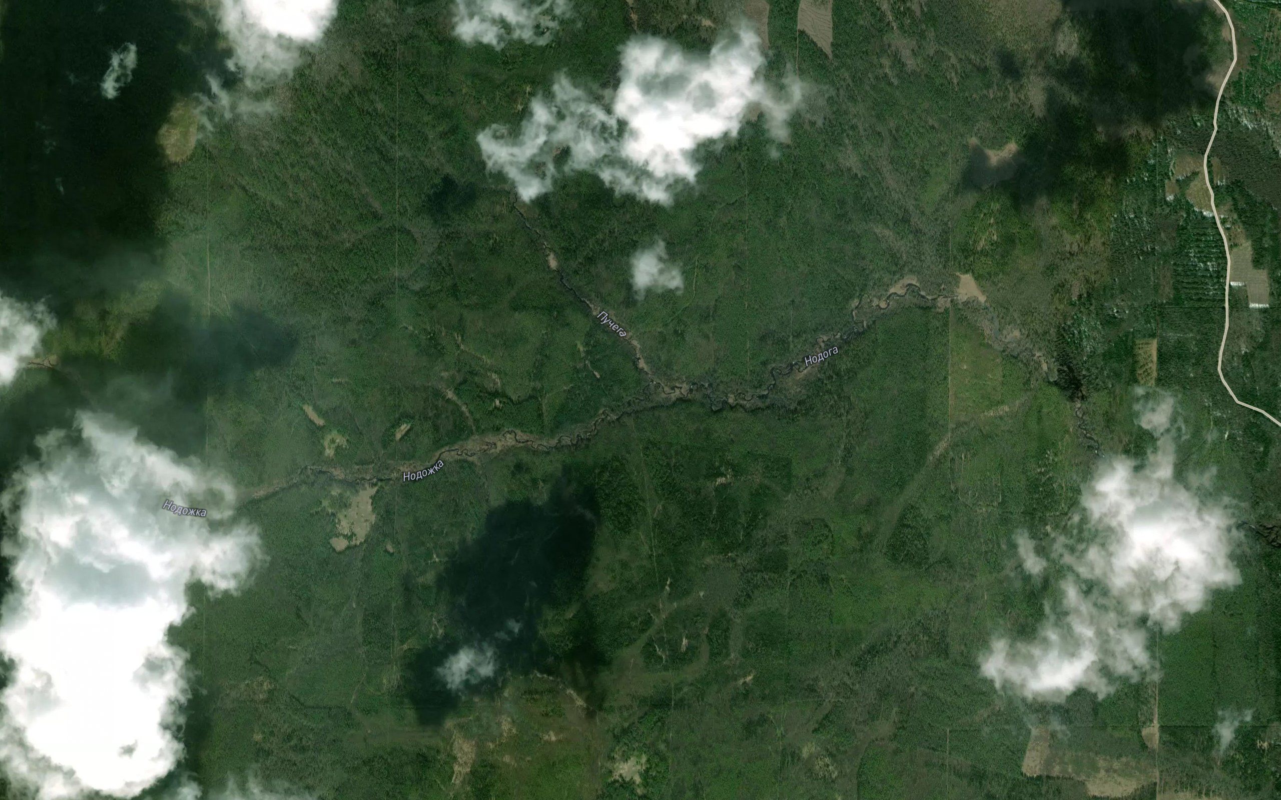 Nodozhka