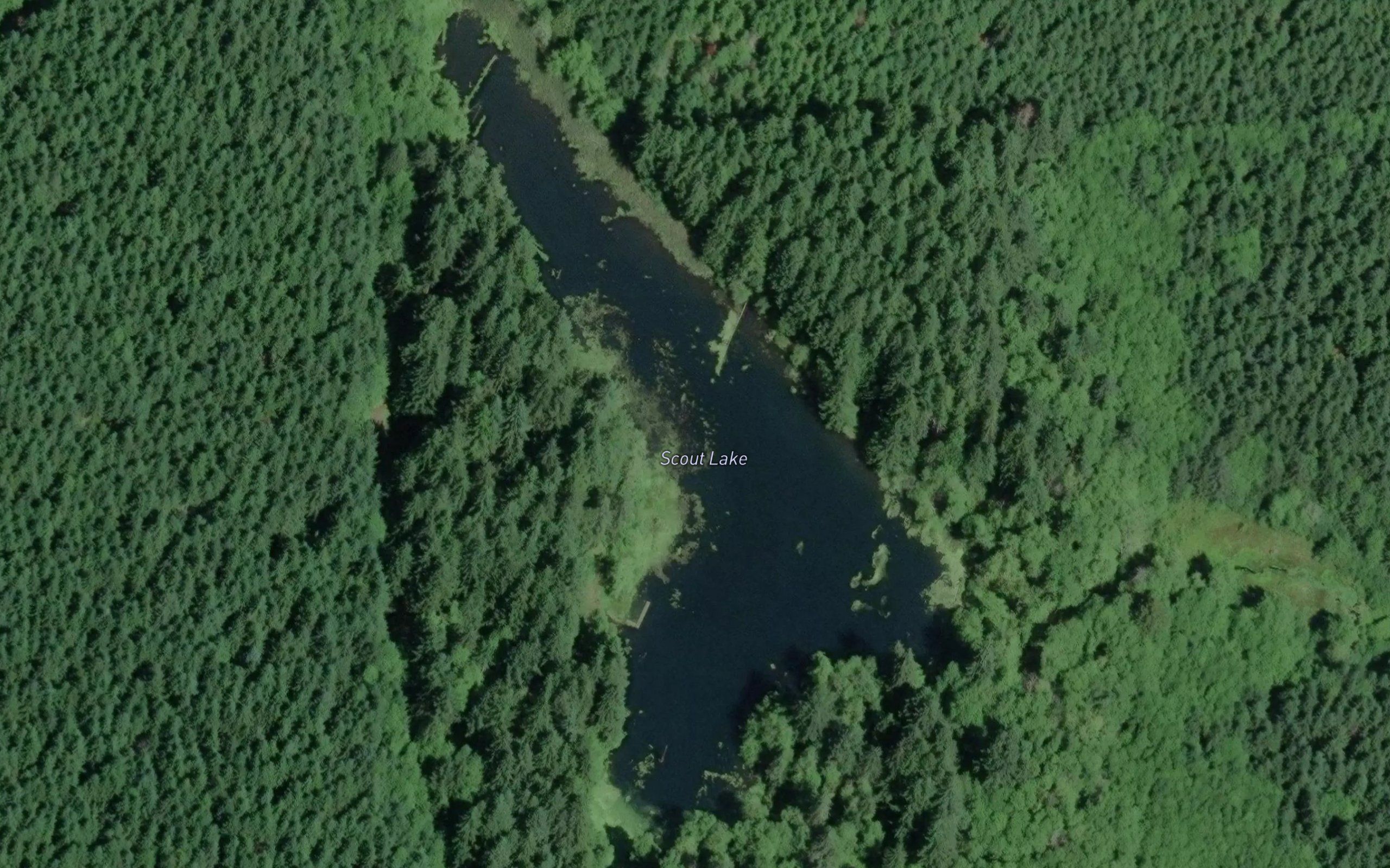 Scout Lake