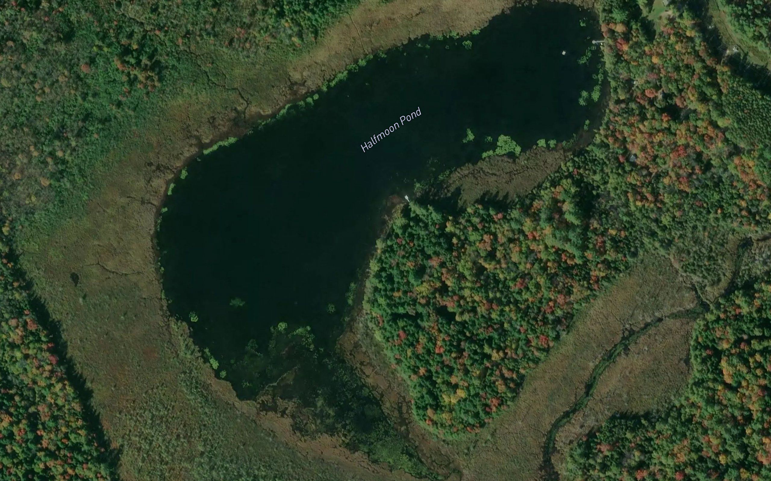 Halfmoon Pond