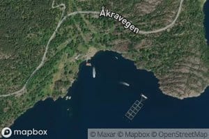 Alsakervika