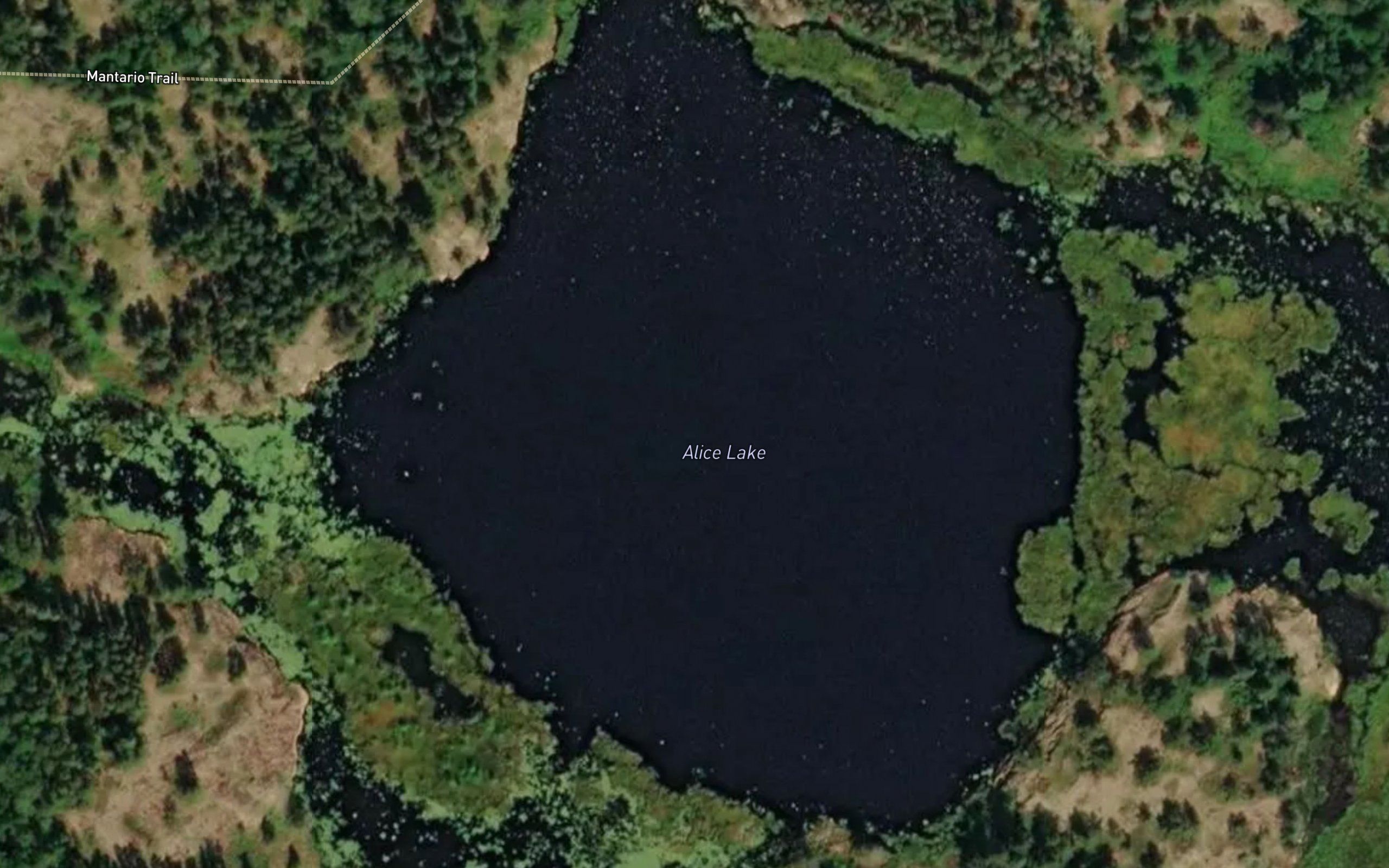 Alice Lake