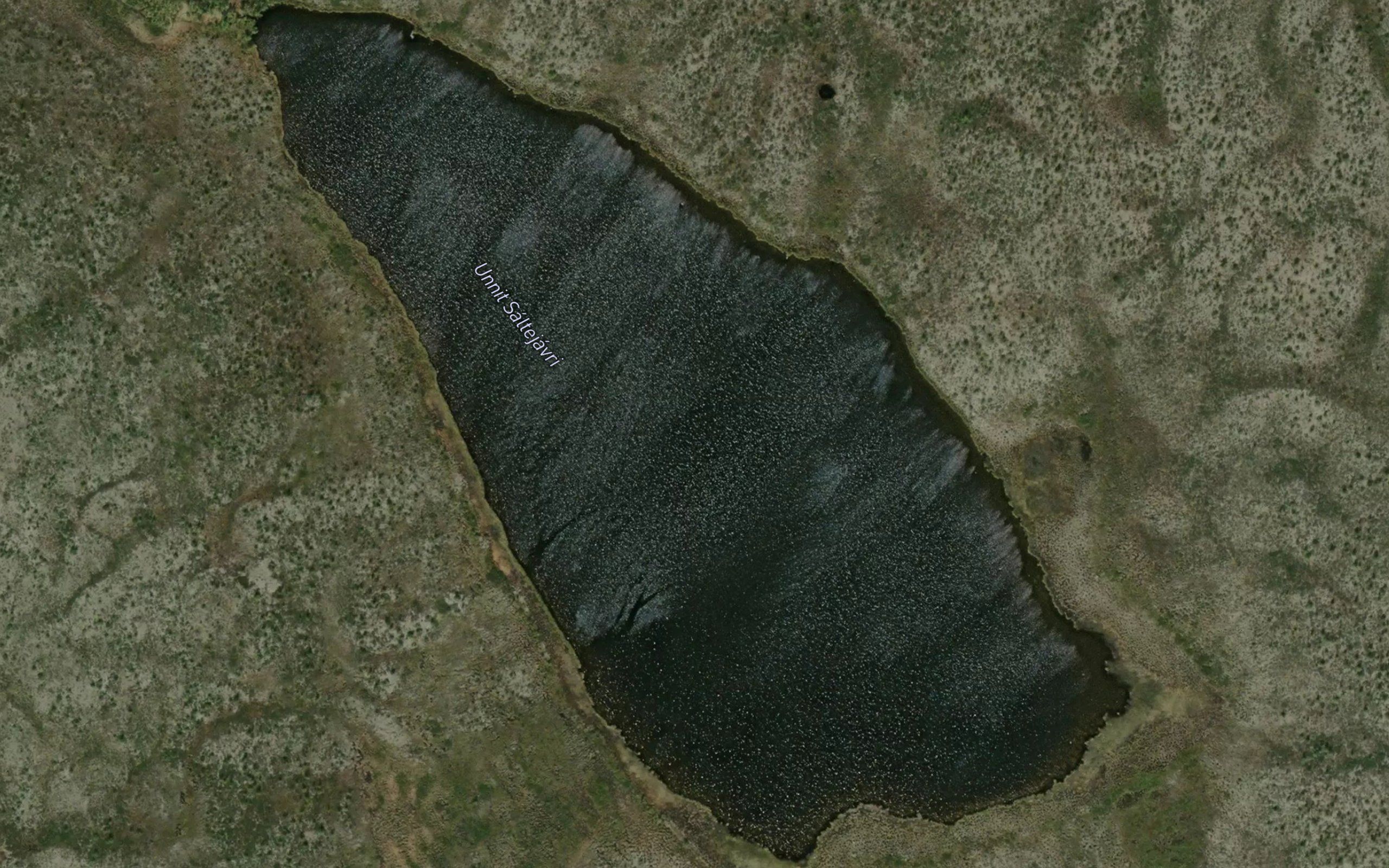 Saltejavri,unnit