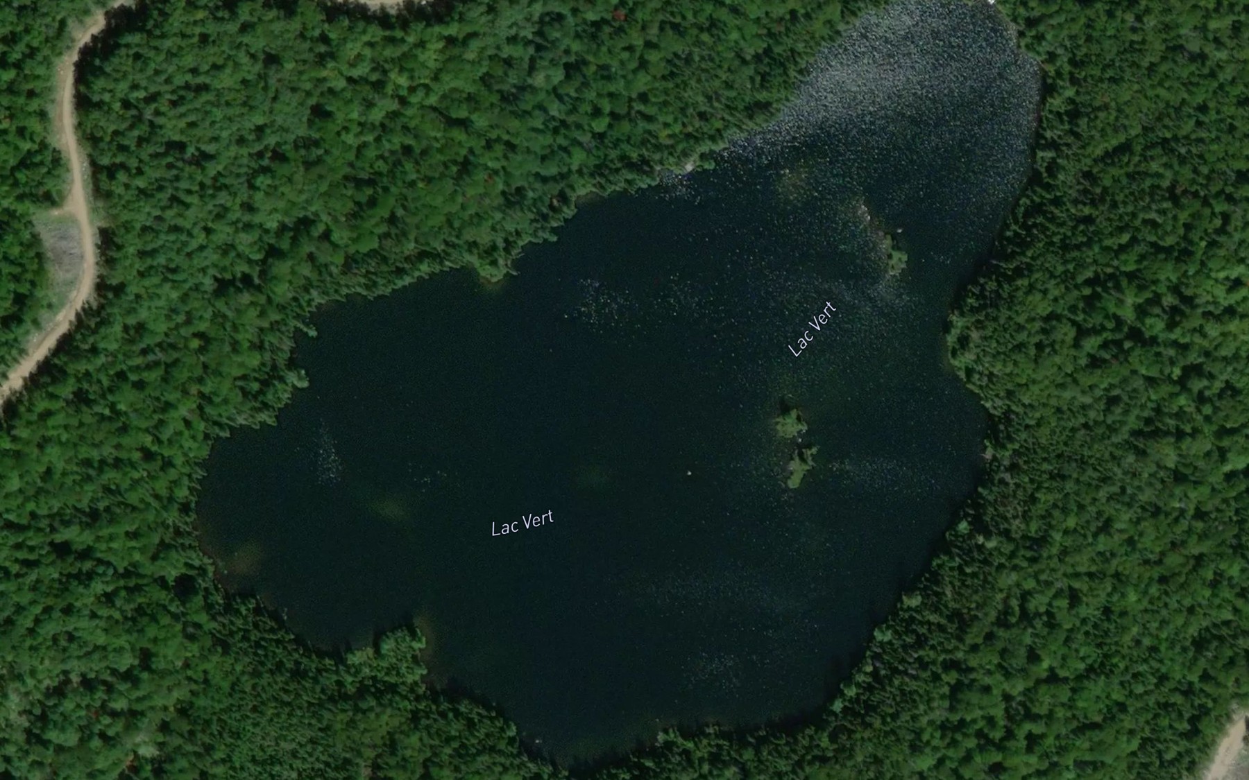 Satellite map of the Lac Vert