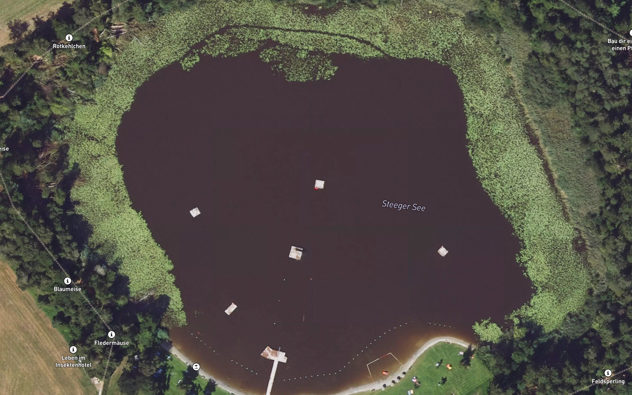 Steeger See