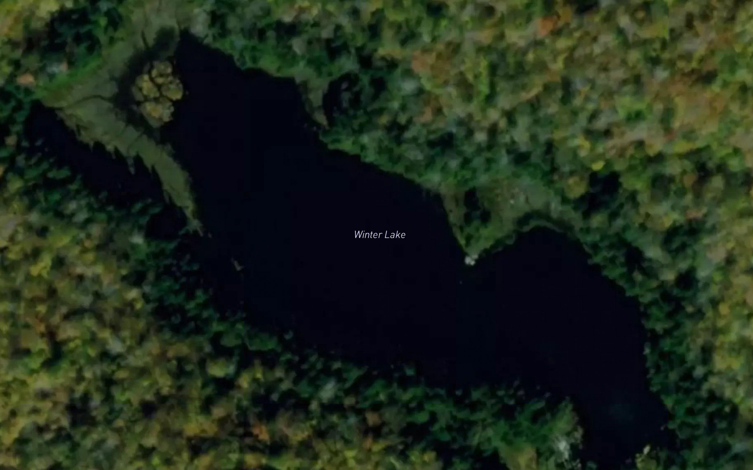 Winter Lake