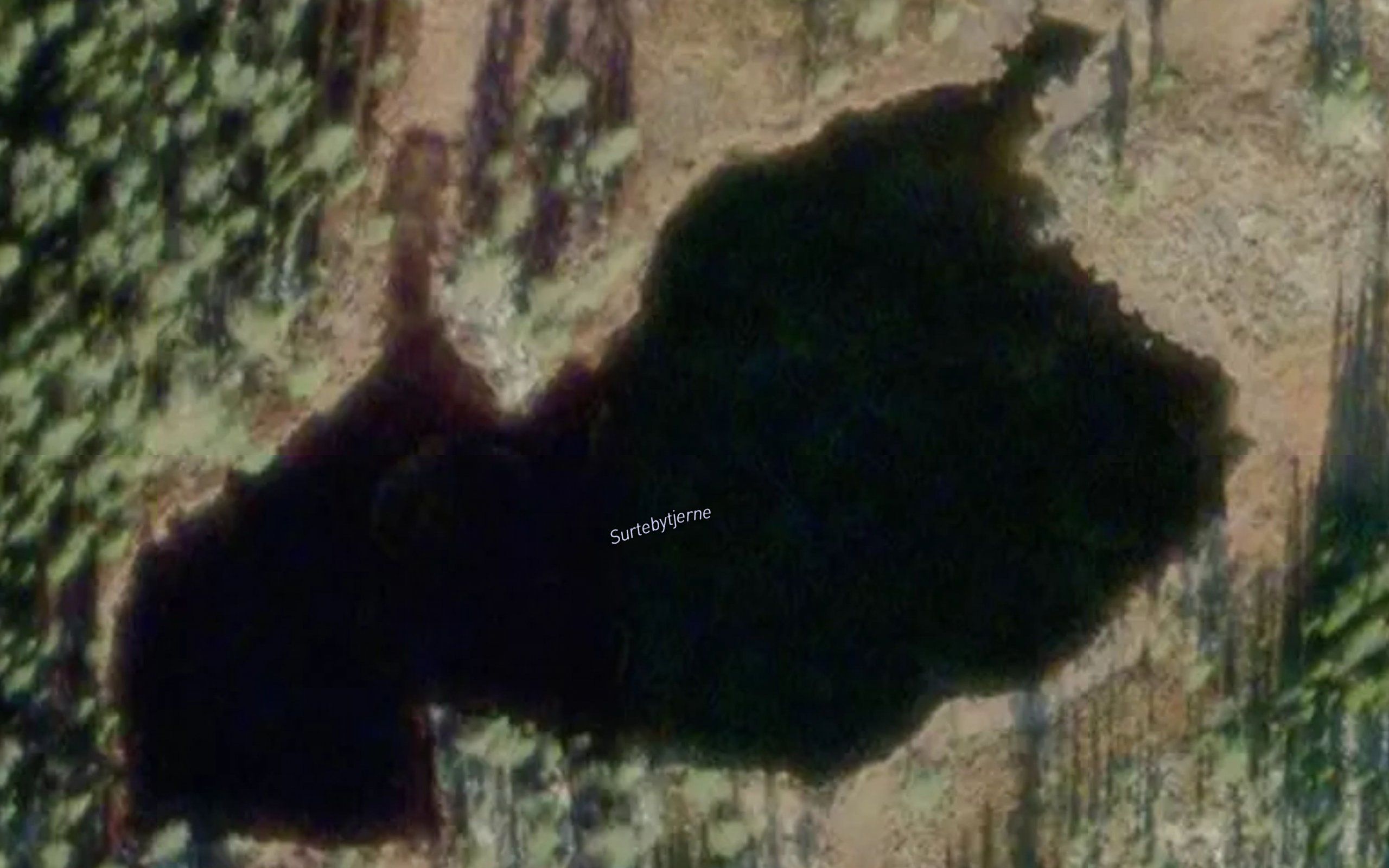 Surtebytjerni