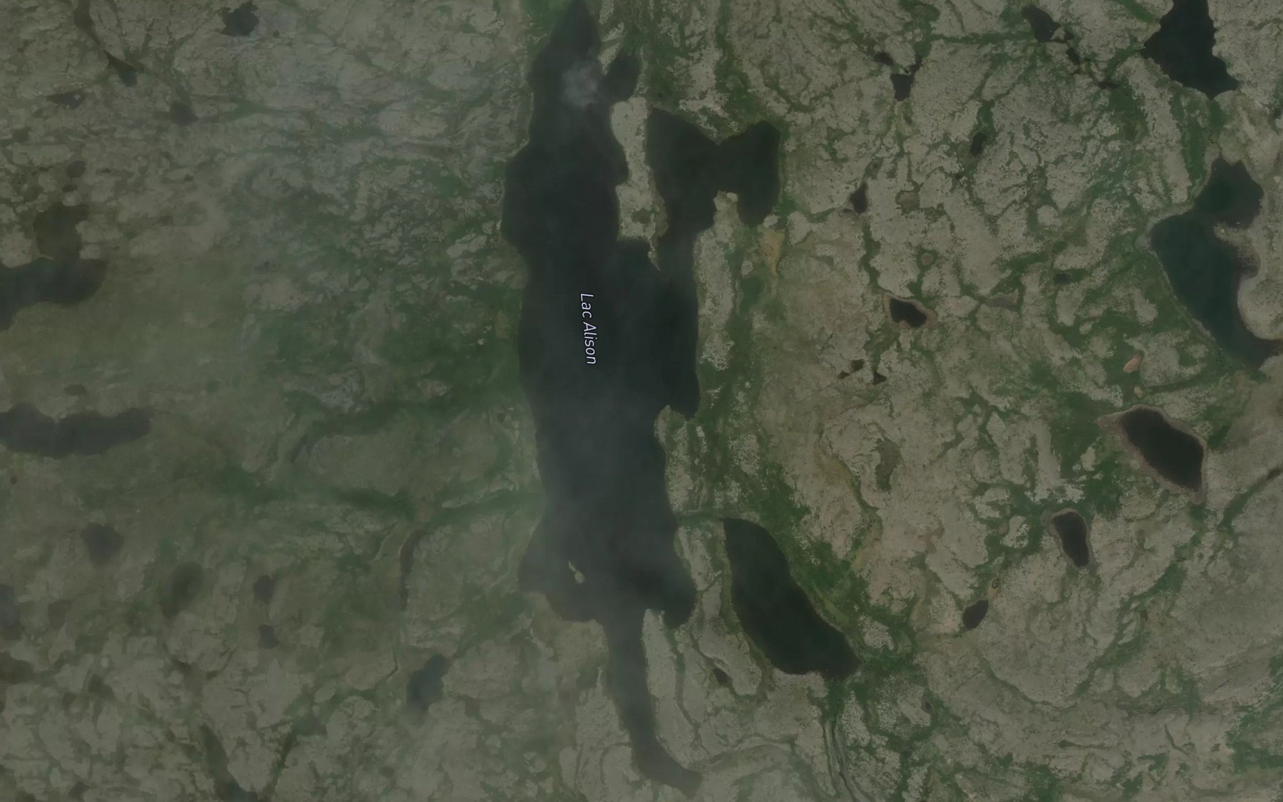 Satellite map of the Lac Alison