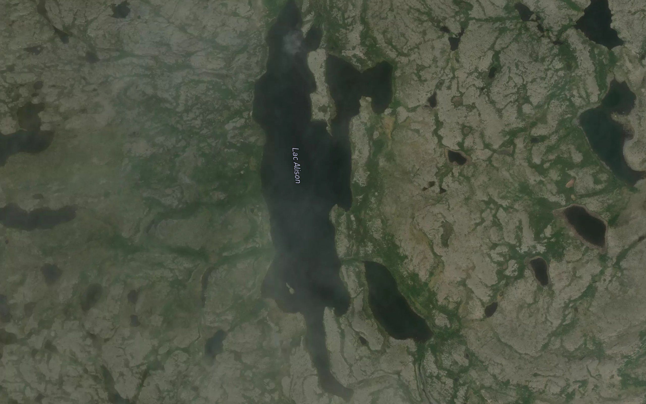 Lac Alison