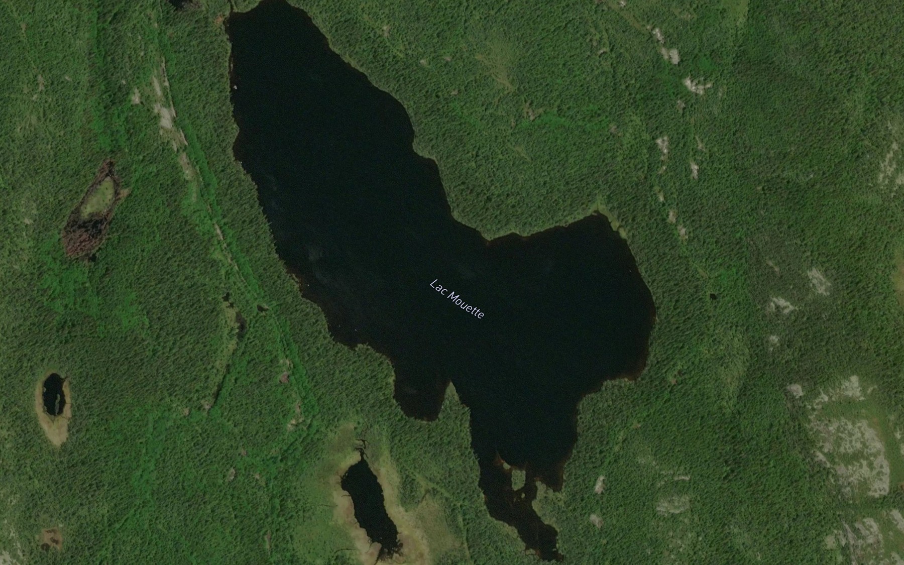 Satellite map of the Lac Mouette