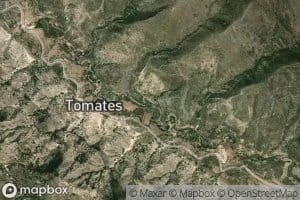Tomates