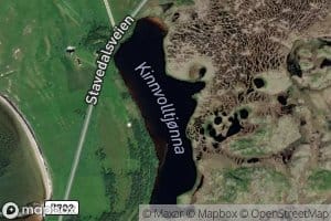 Kinnvolltjorna