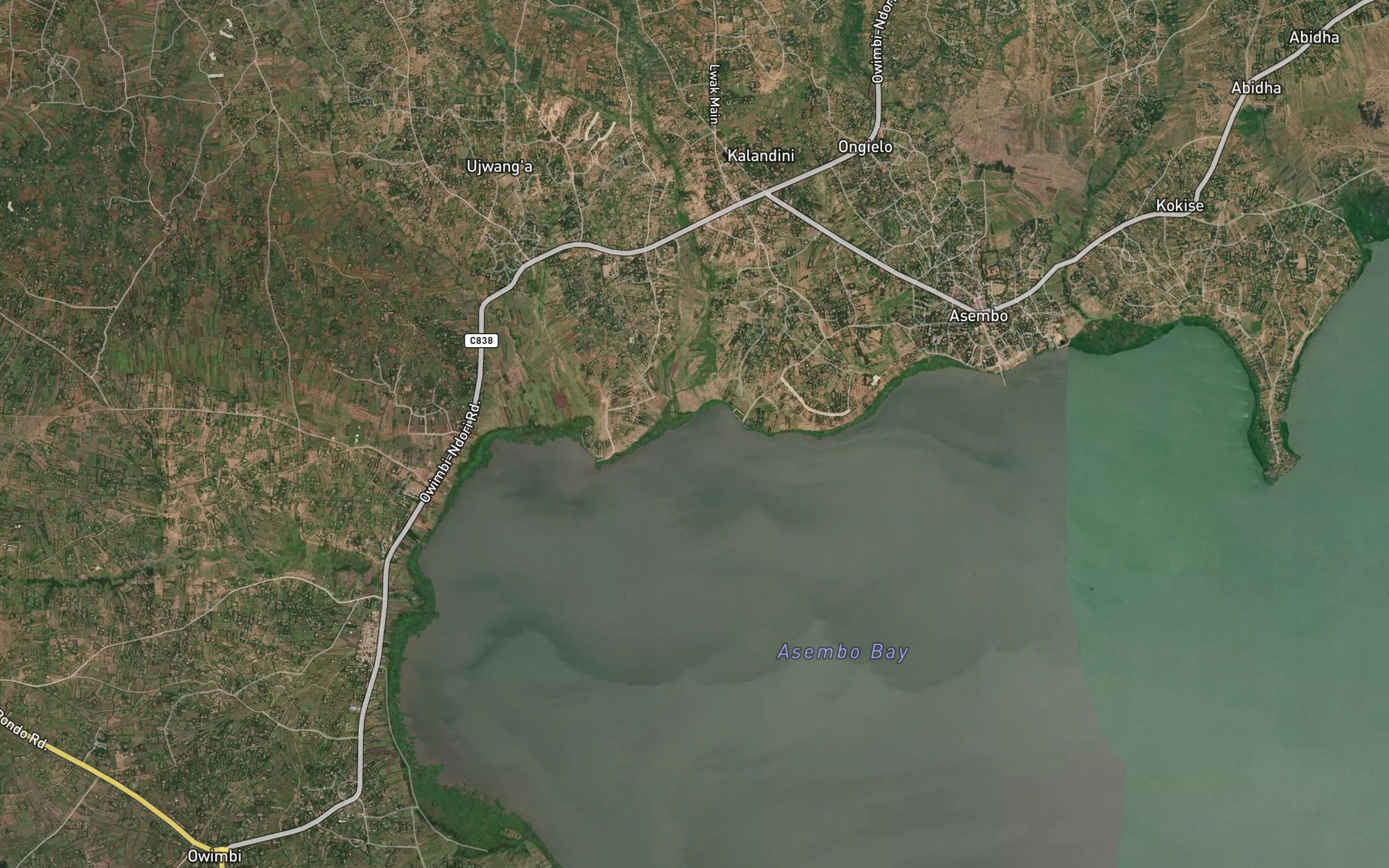 Satellite map of the Arese