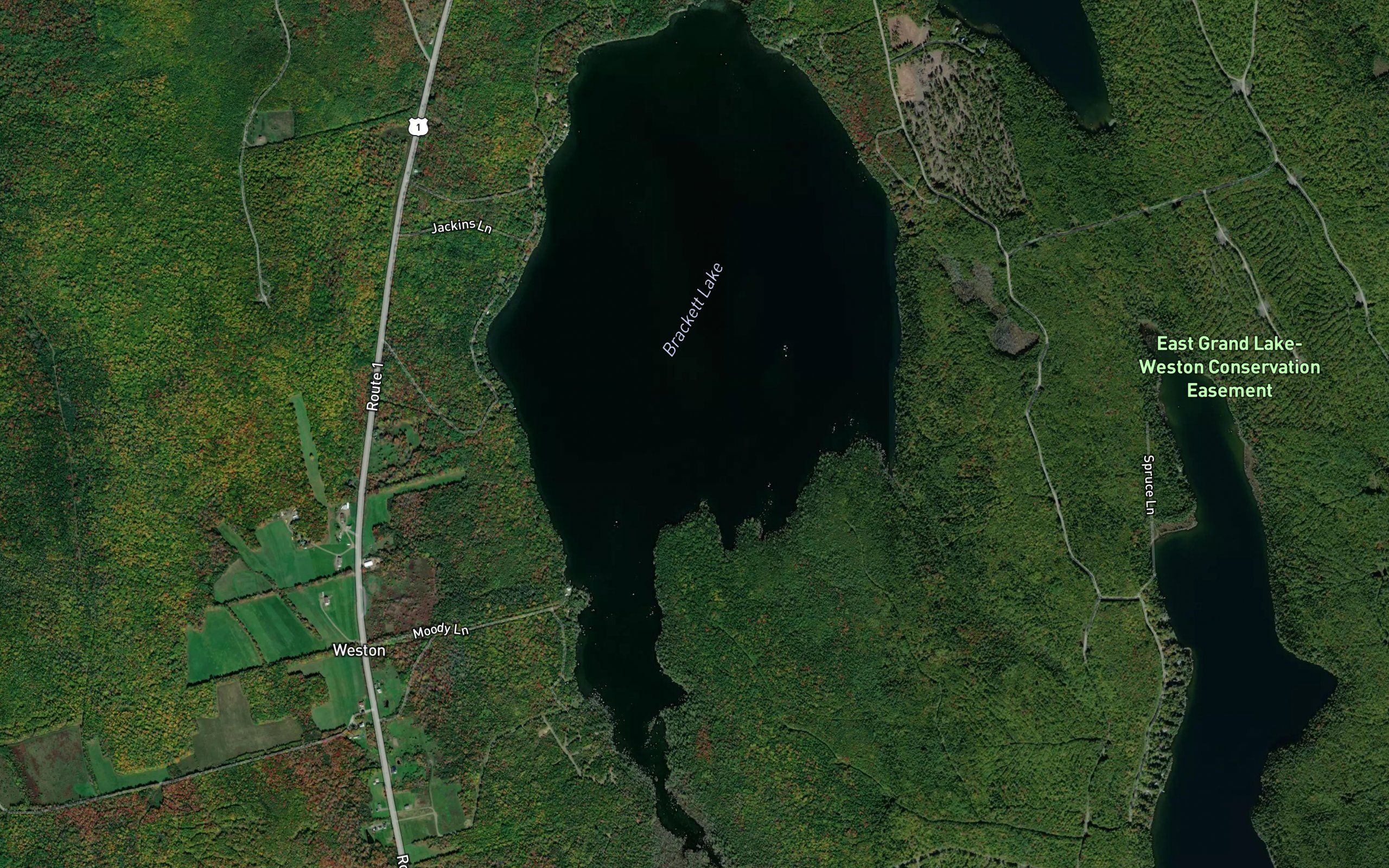 Brackett Lake
