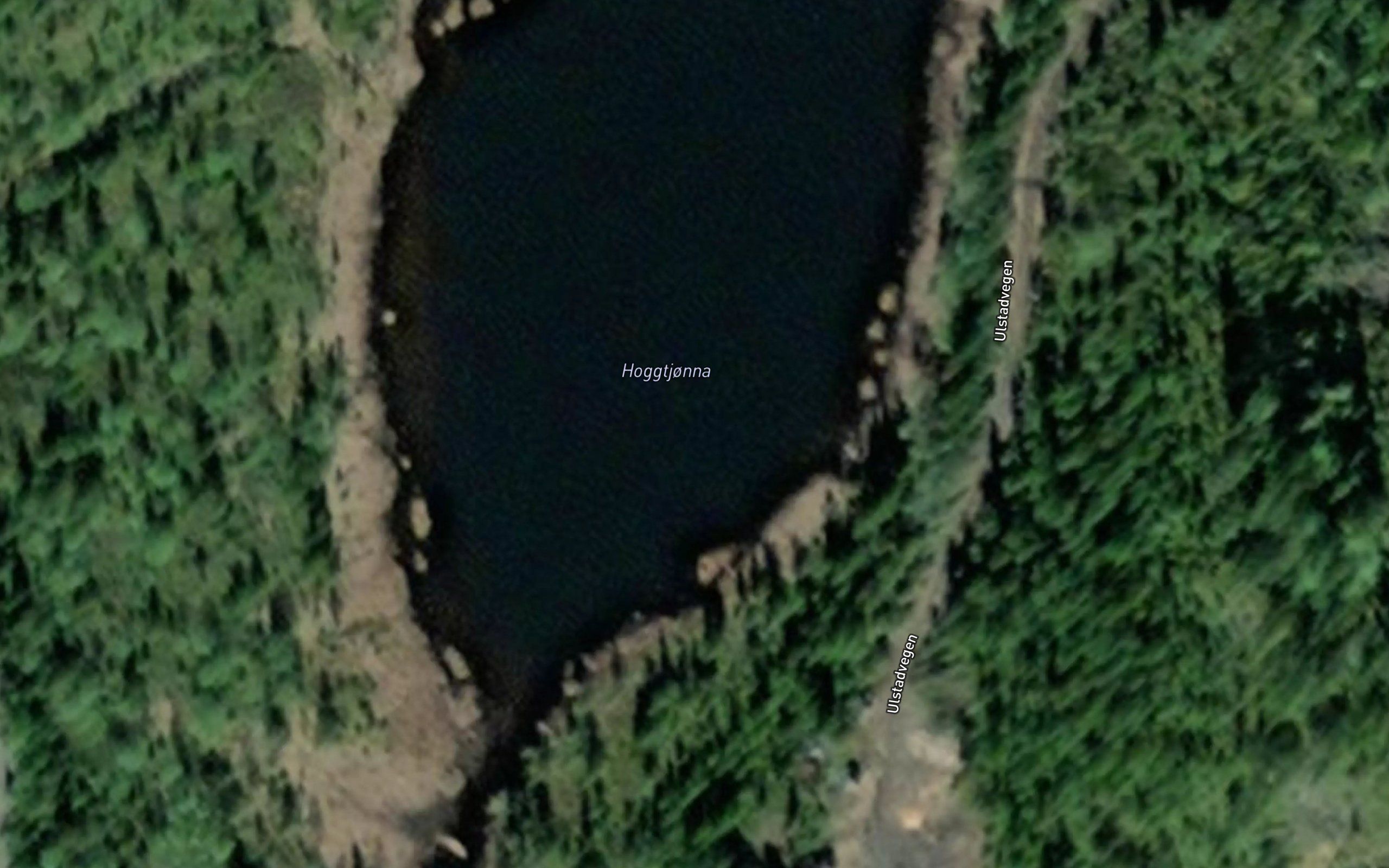 Hoggtjorna