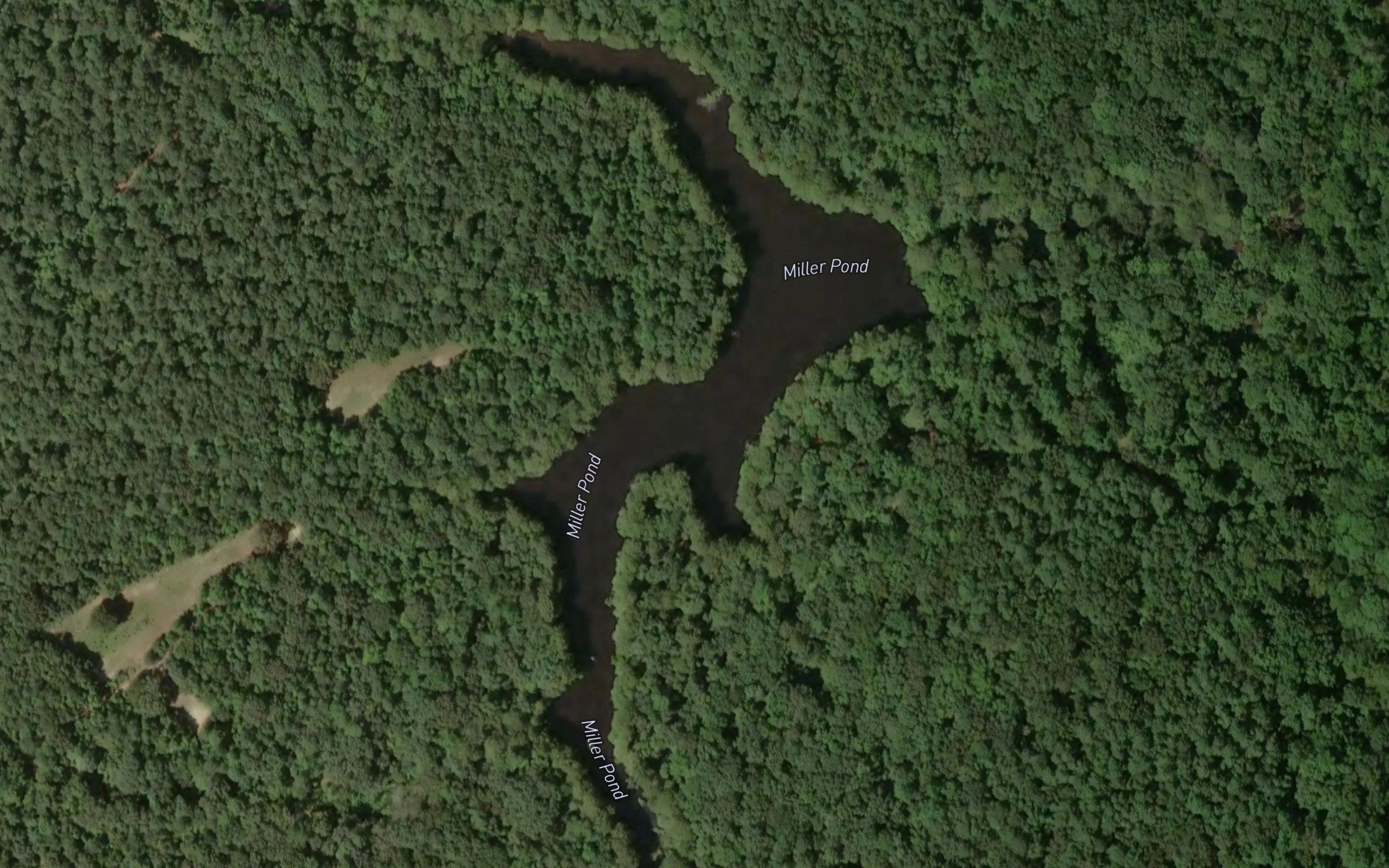 Miller Pond