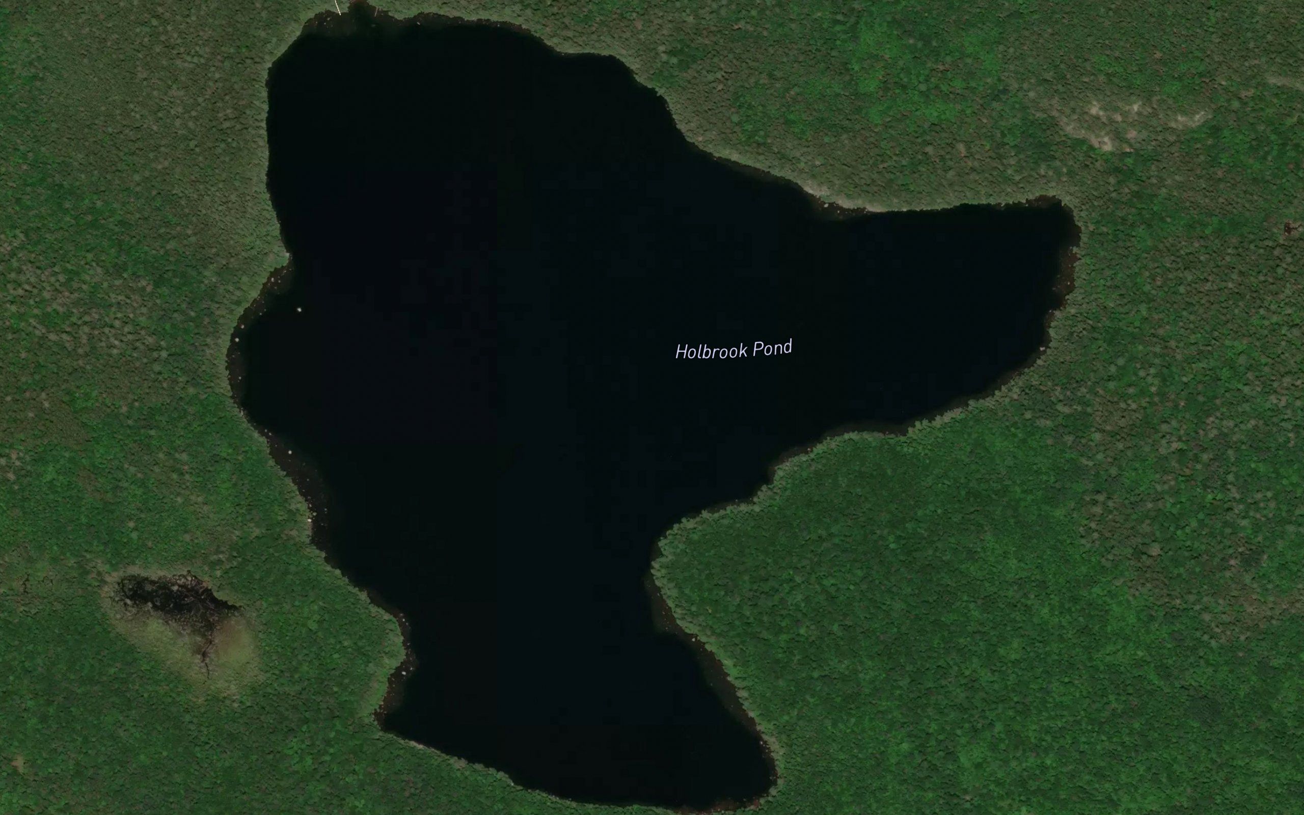 Holbrook Pond