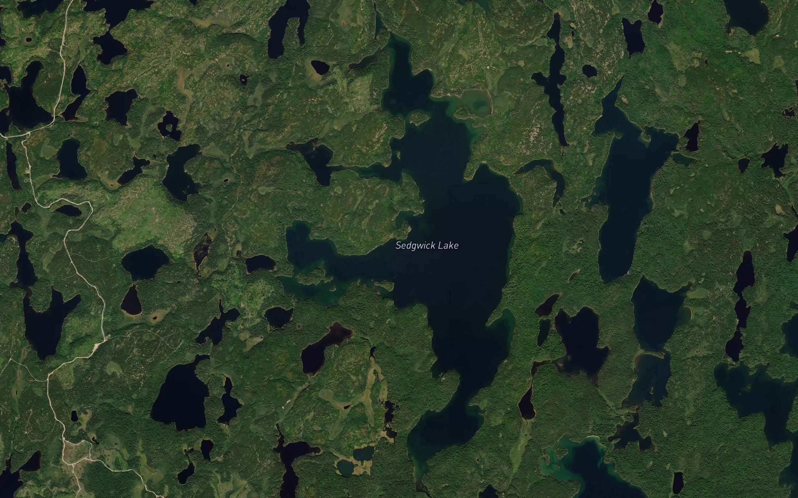 Sedgwick Lake