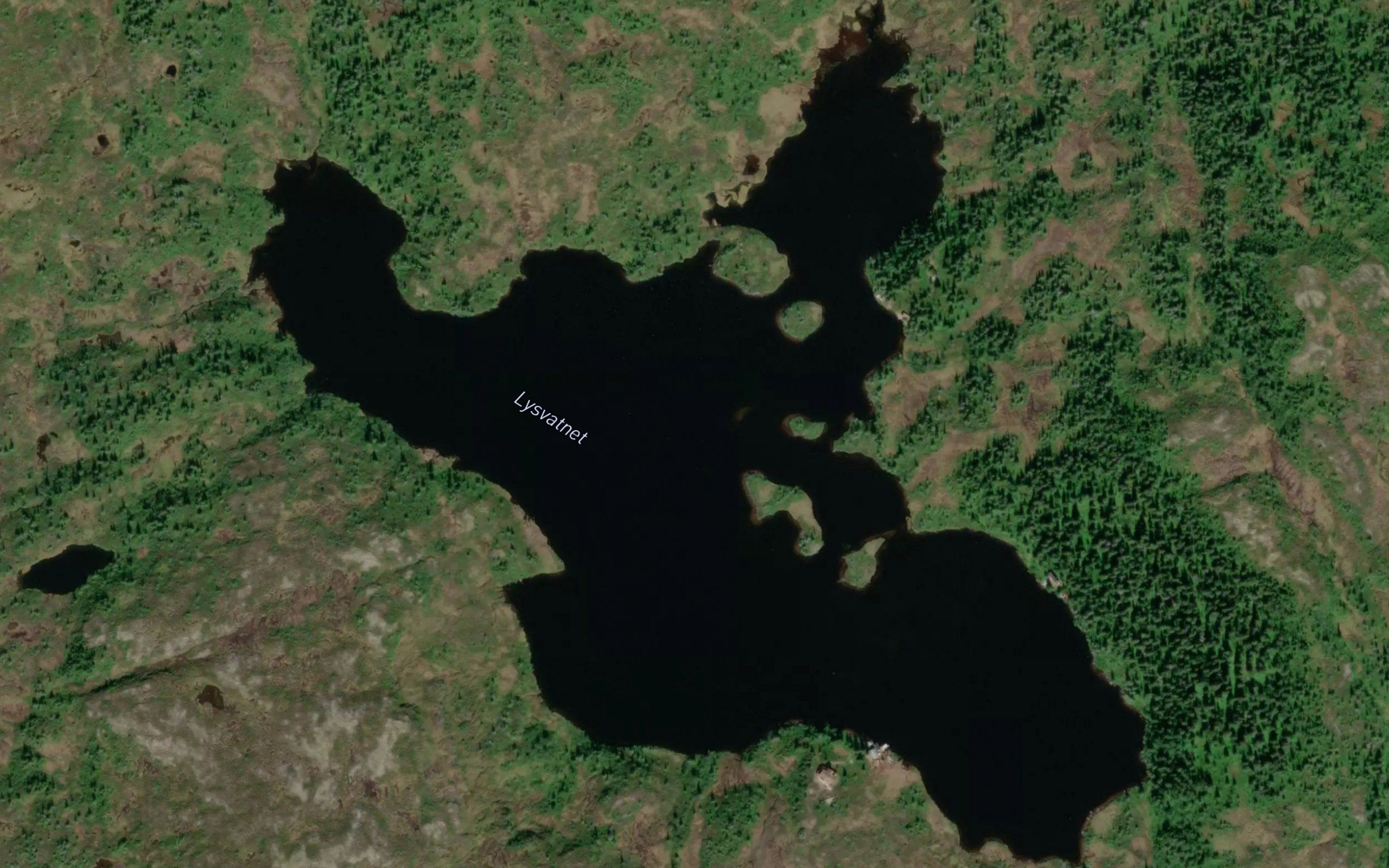 Lihtsejaevrie