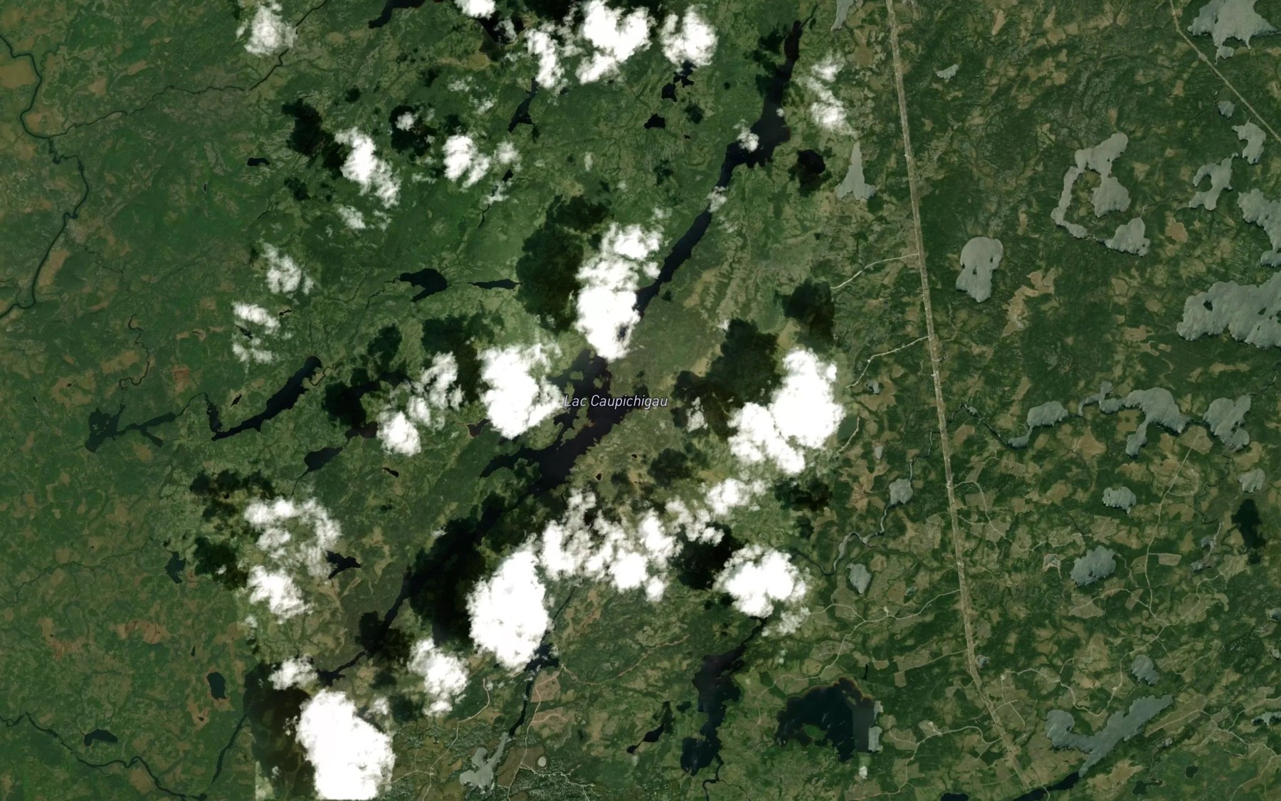Satellite map of the Lac Caupichigau