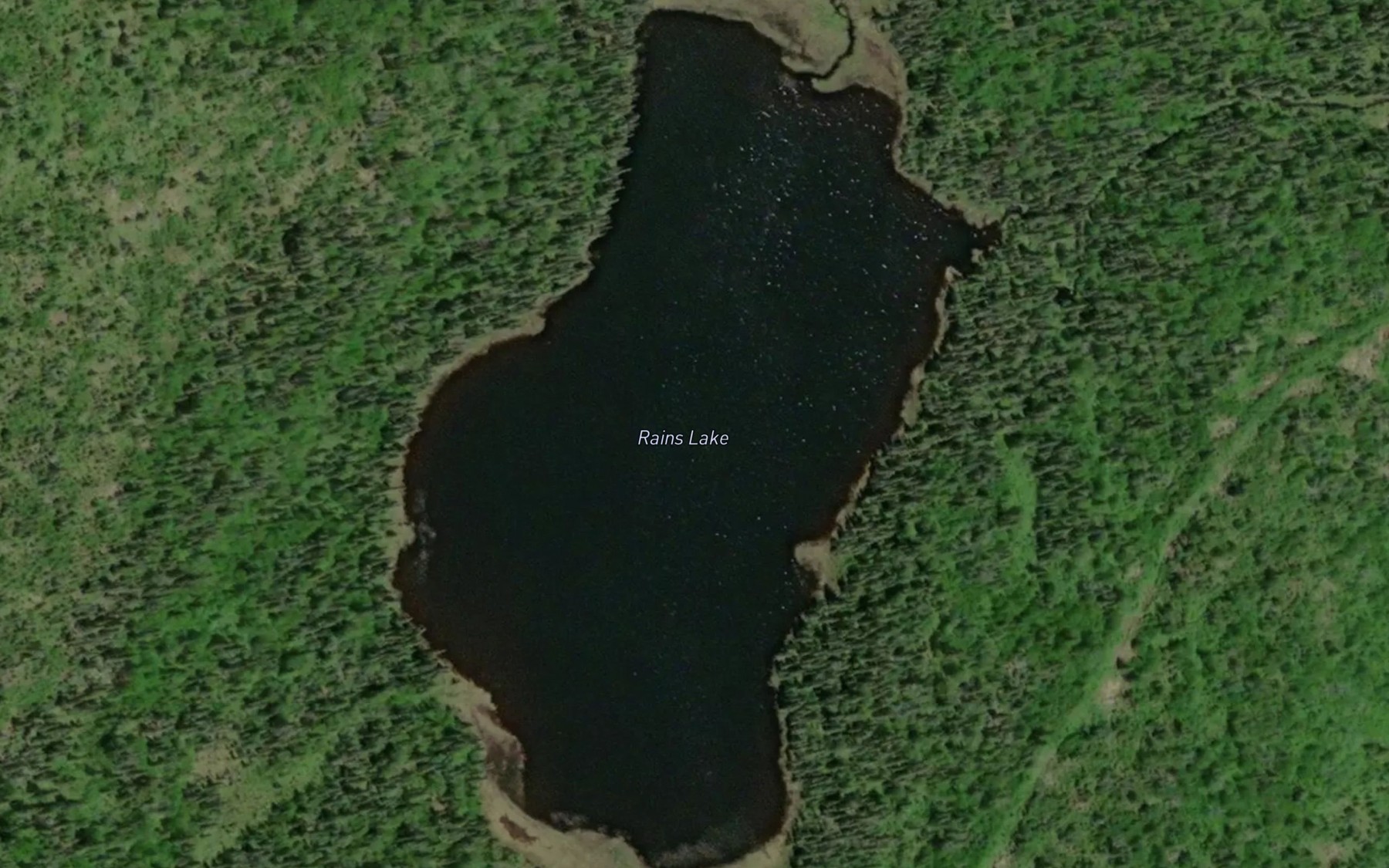 Satellite map of the Rains Lake