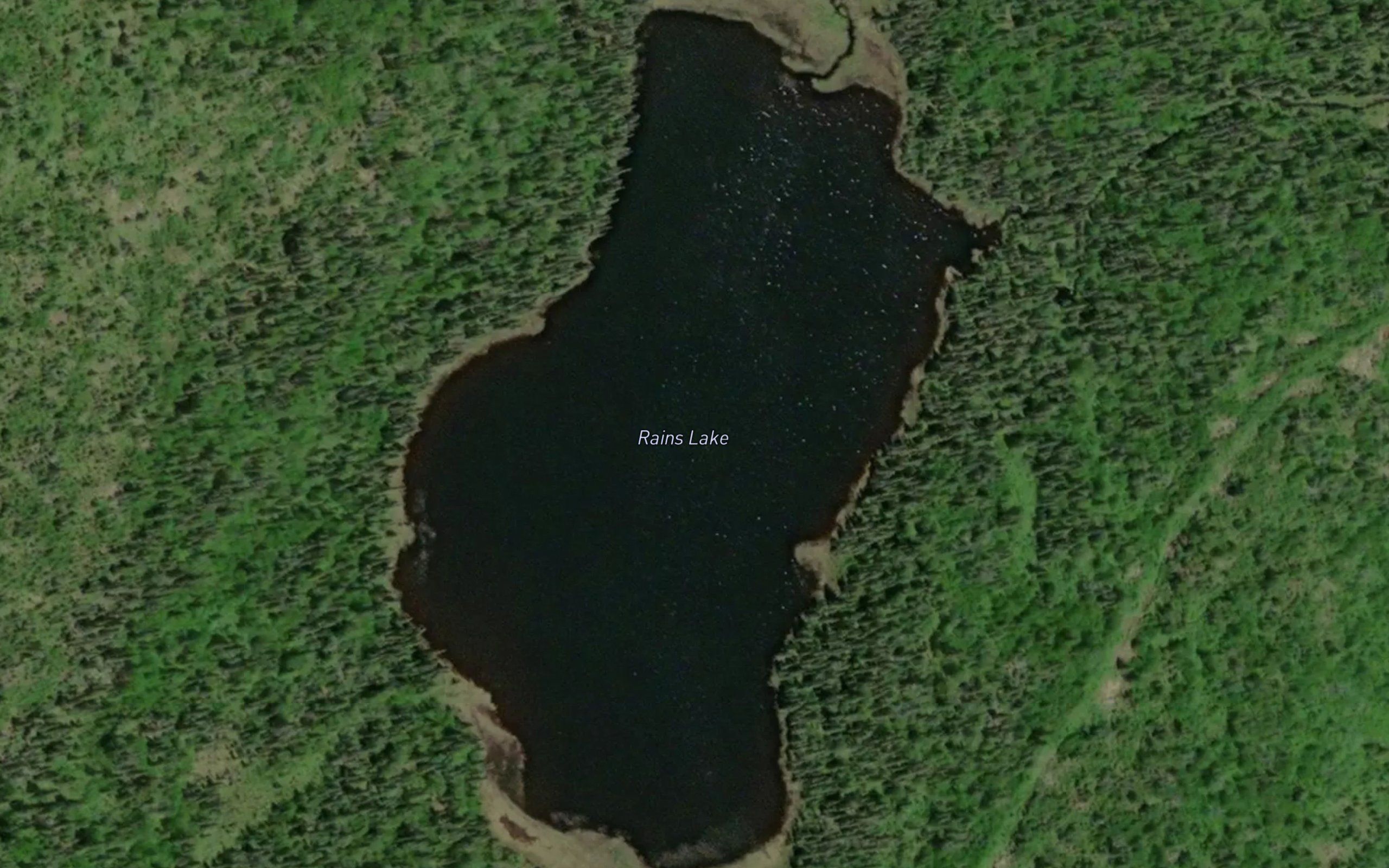 Rains Lake