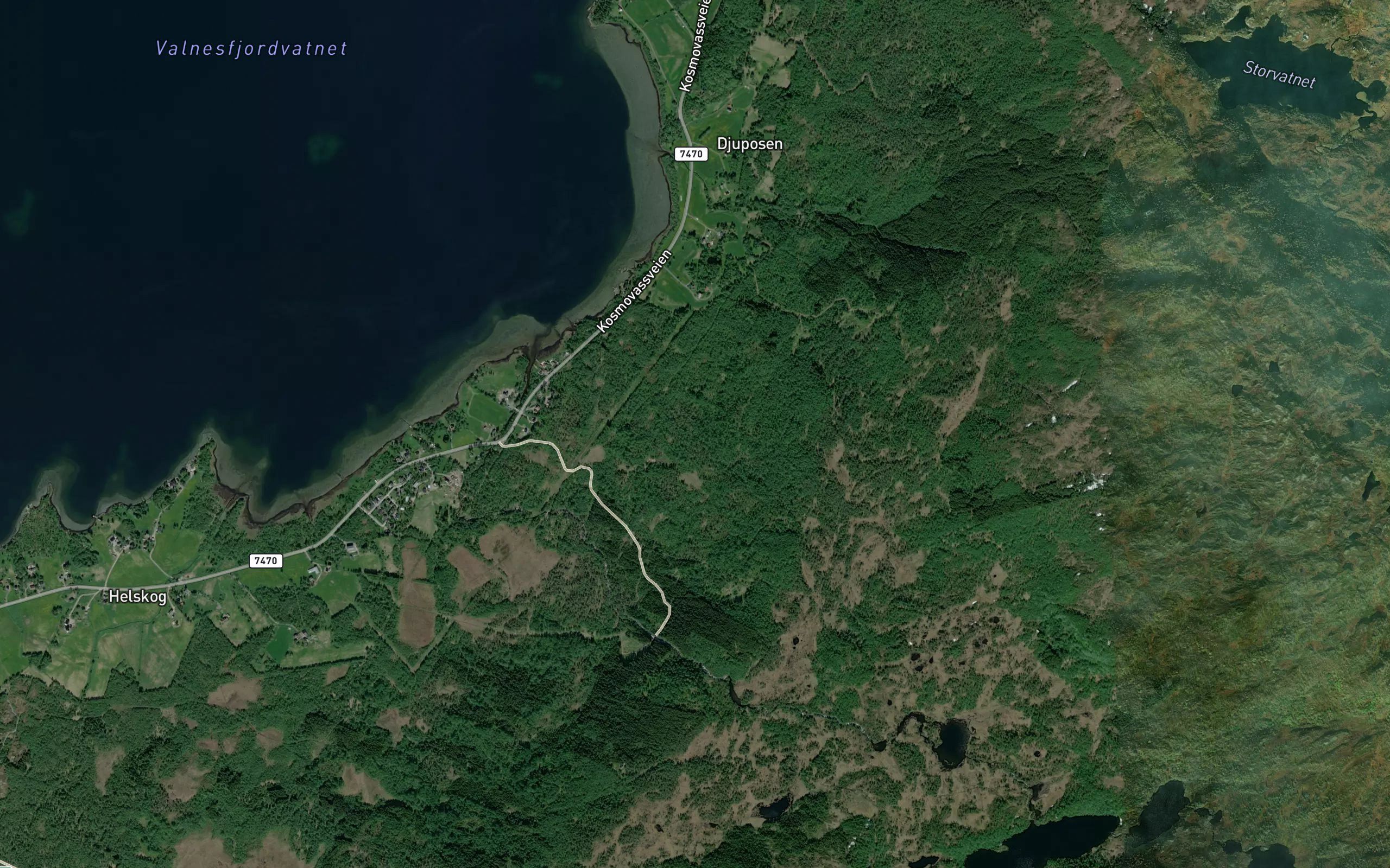 Bjornnesdiket