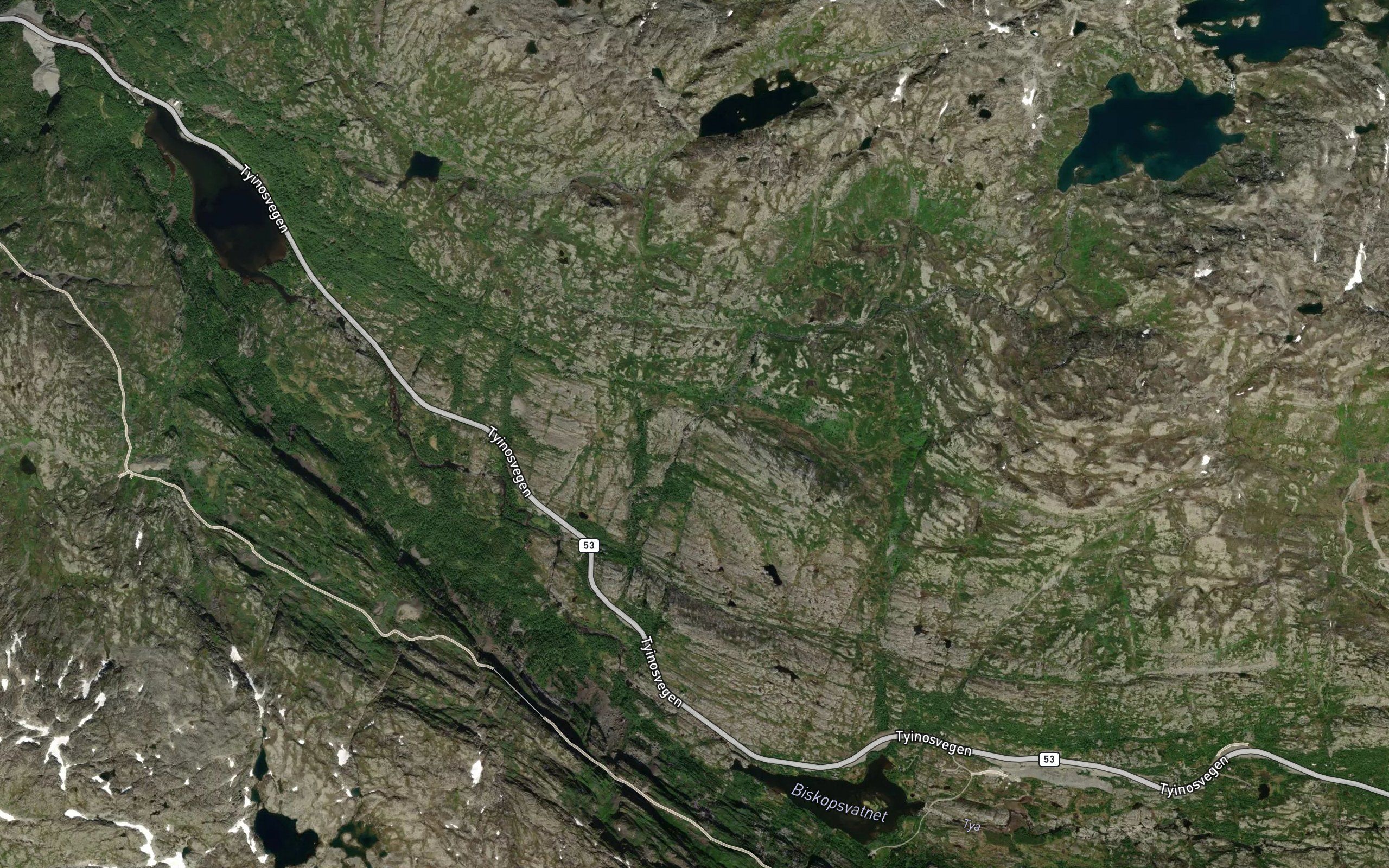 Breidbotnelvi