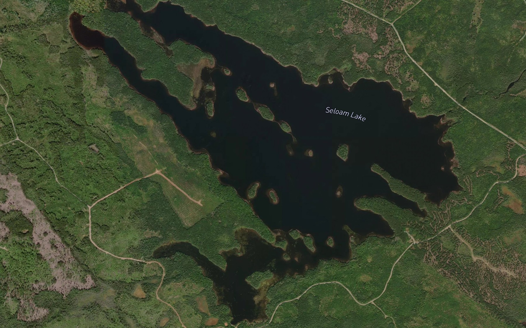 Satellite map of the Seloam Lake