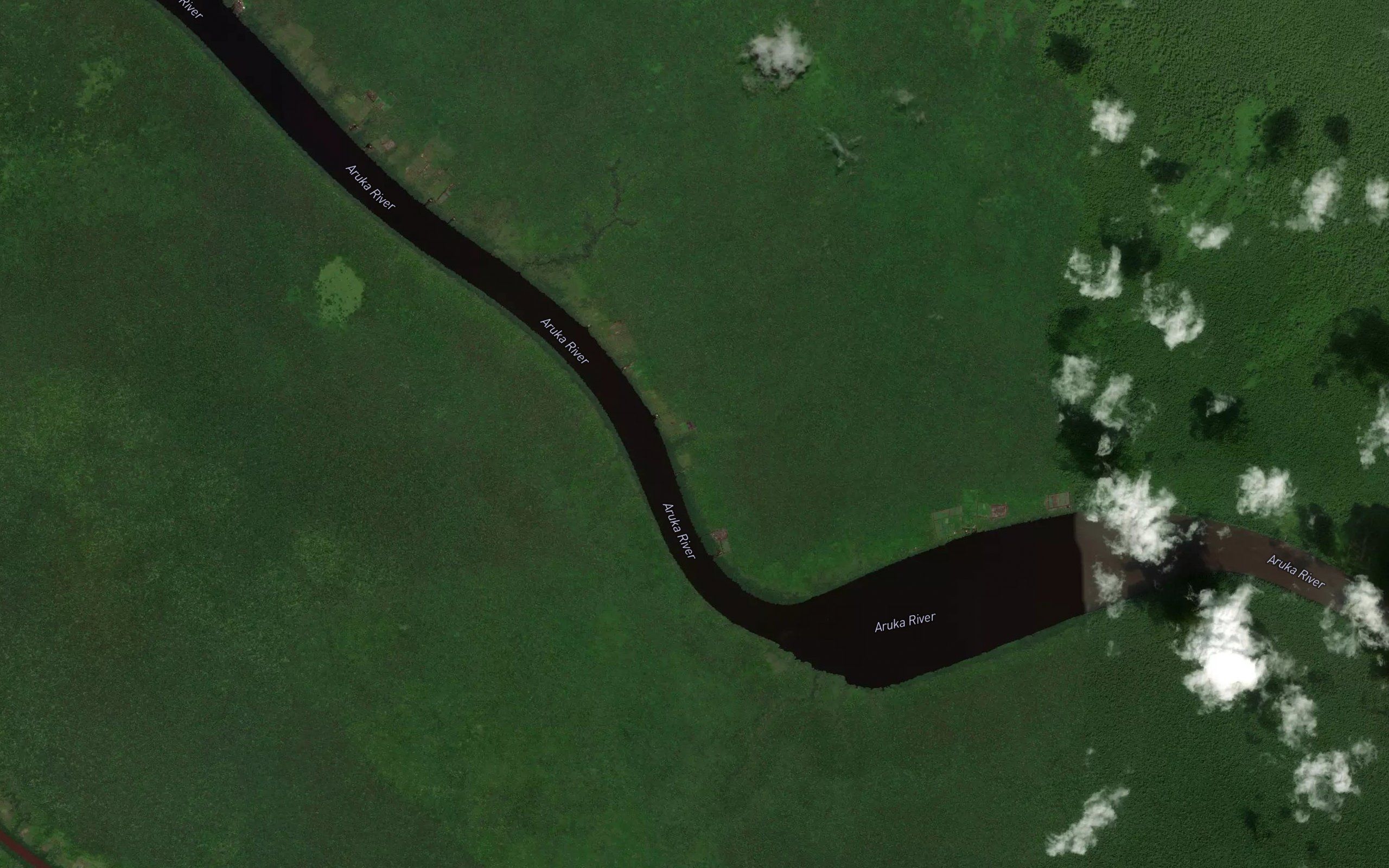 Alligator Creek