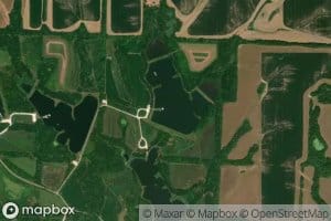 Reed Area Number 8 Lake