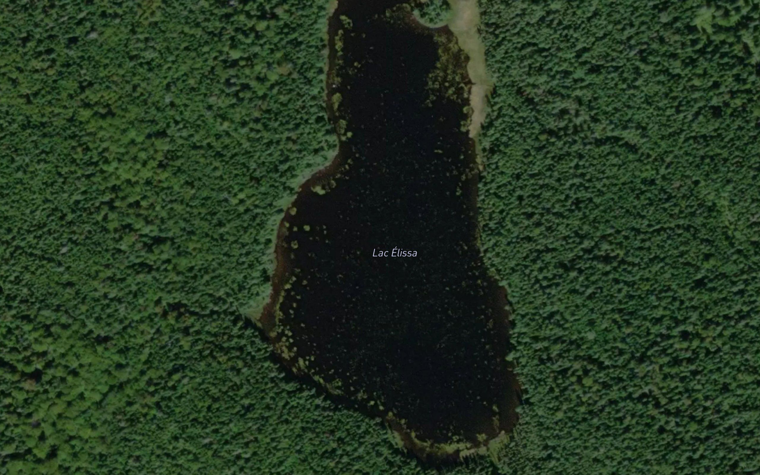 Lac Elissa