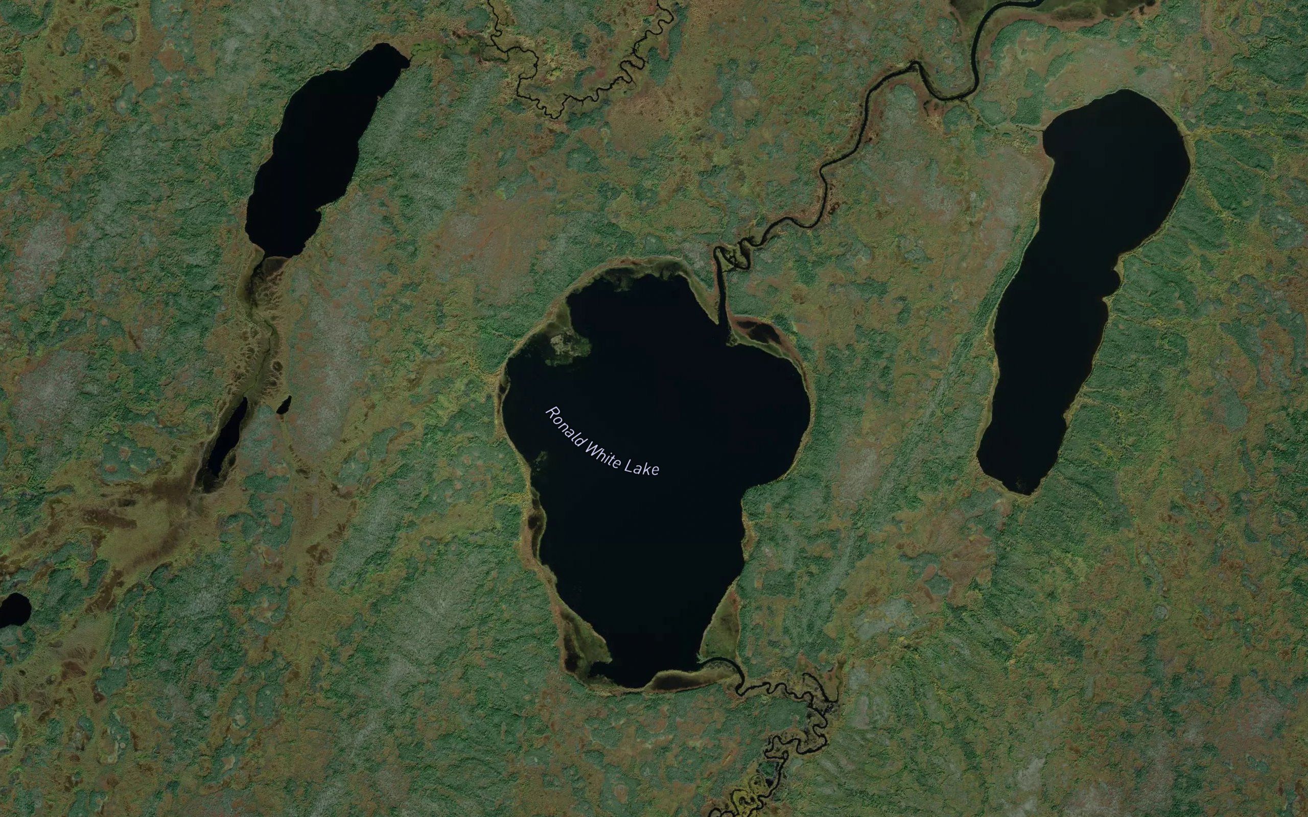 Ronald White Lake
