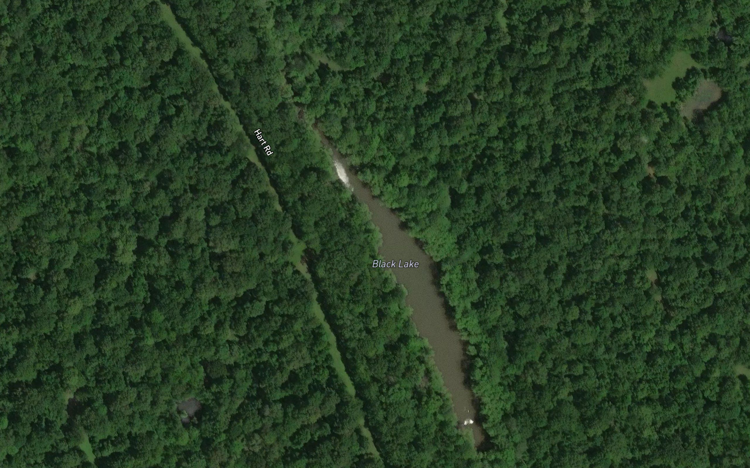 Black Lake
