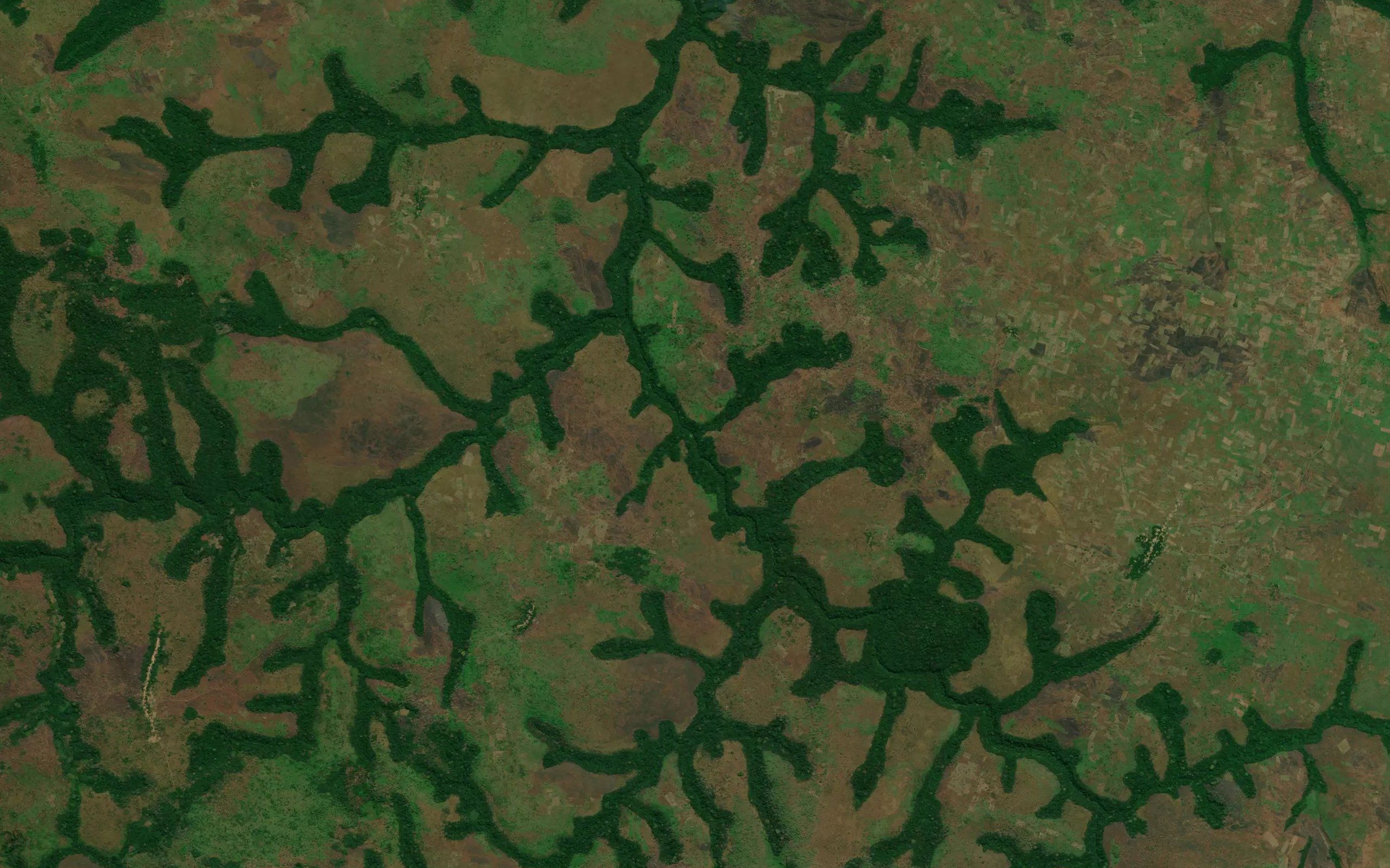 Lusanga