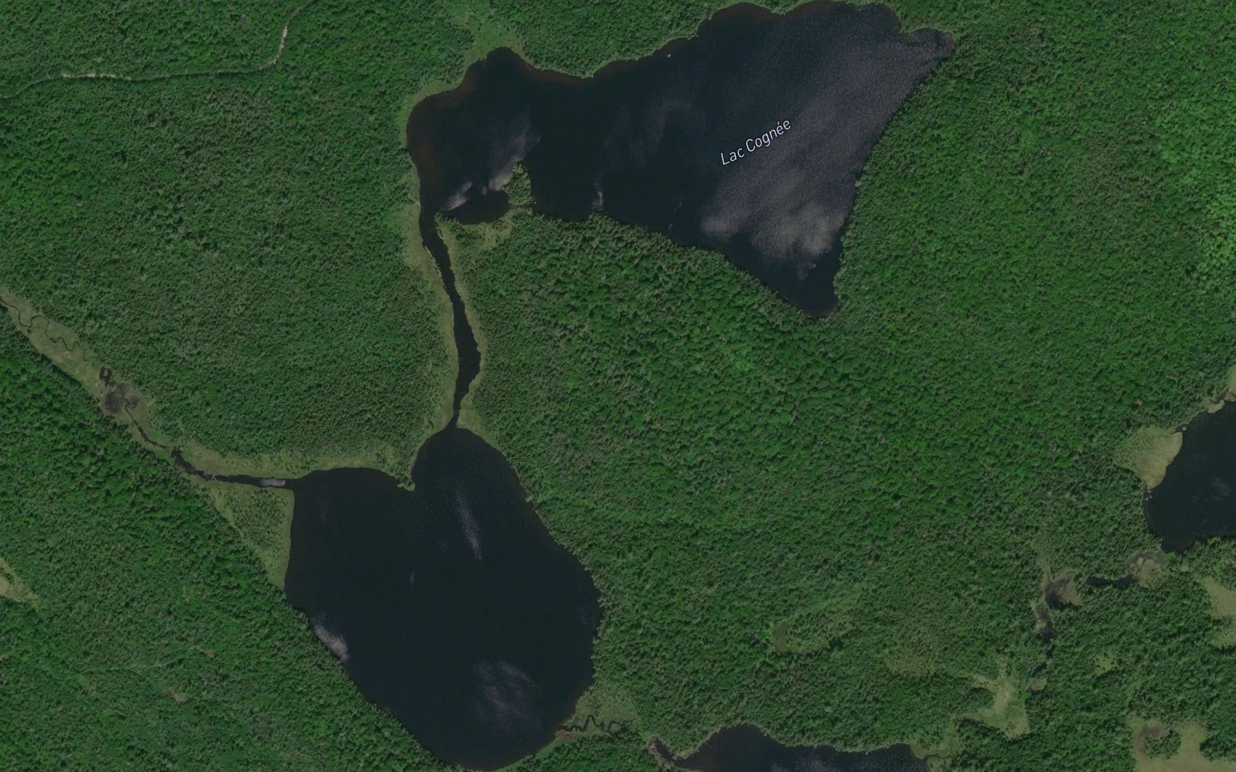 Satellite map of the Lac Cognee
