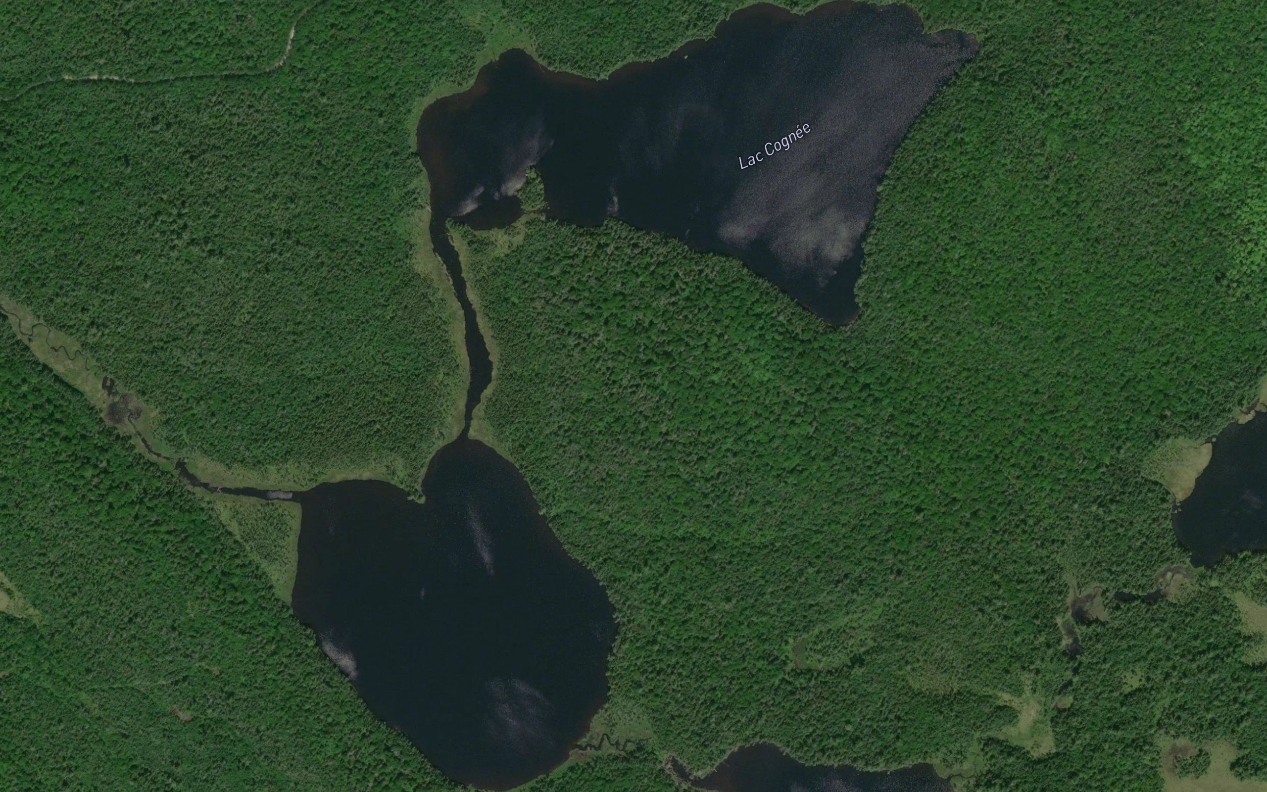 Lac Cognee