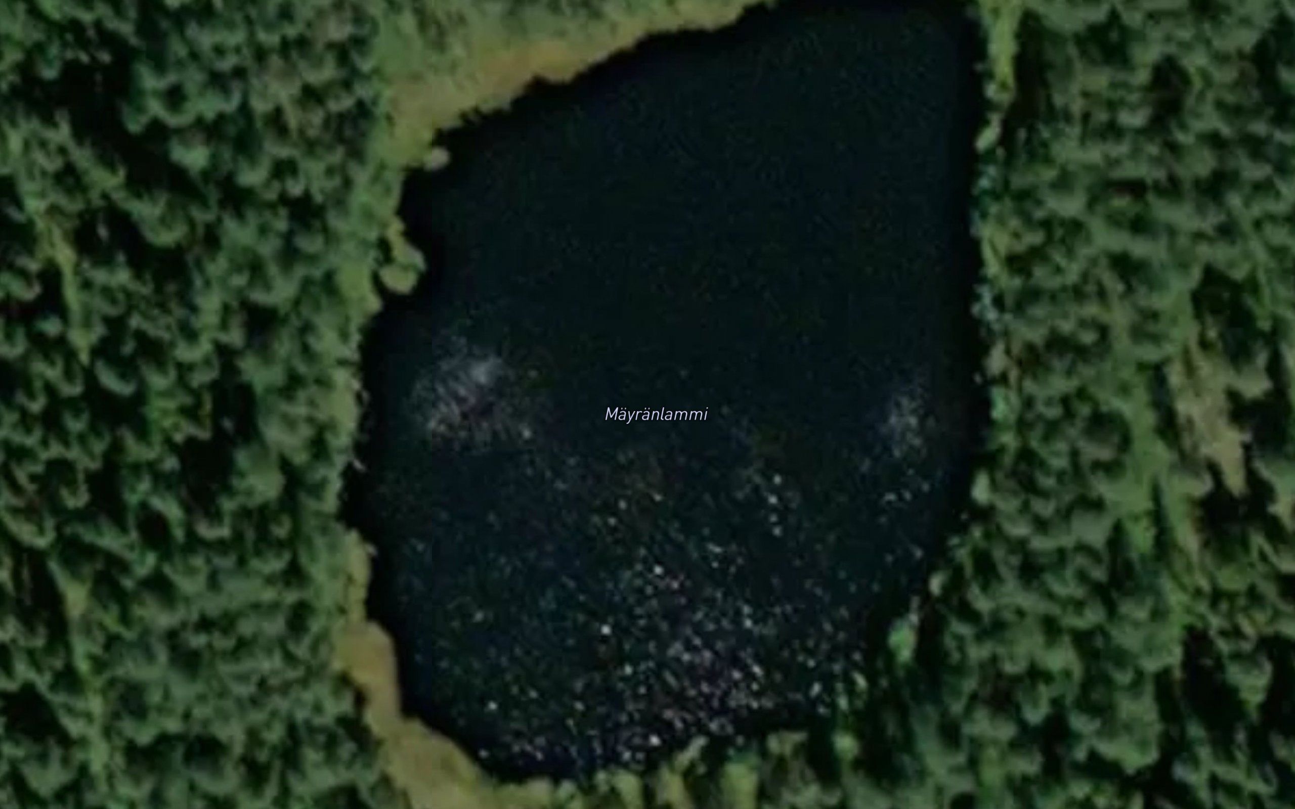 Mayranlammi