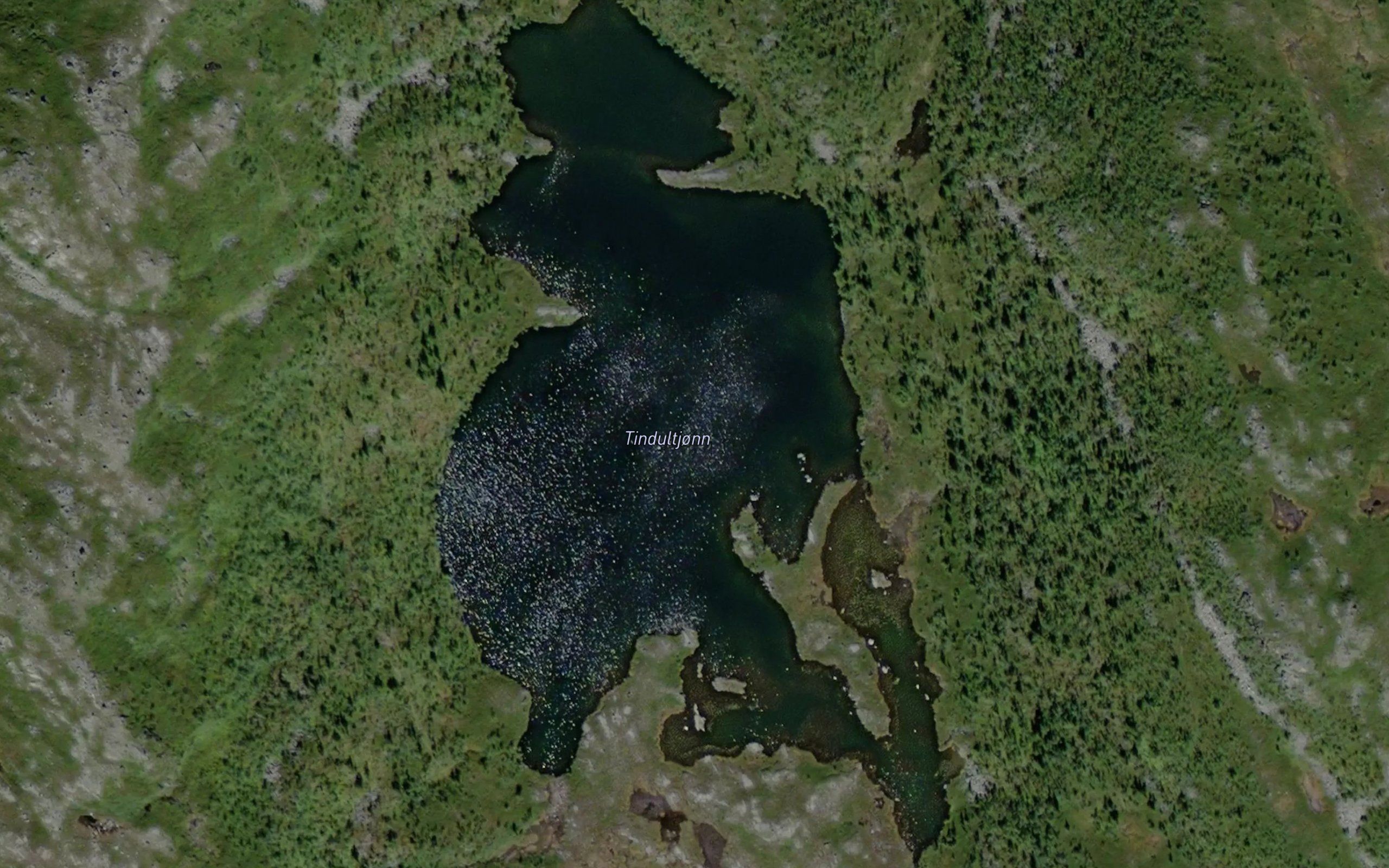 Tindultjorn
