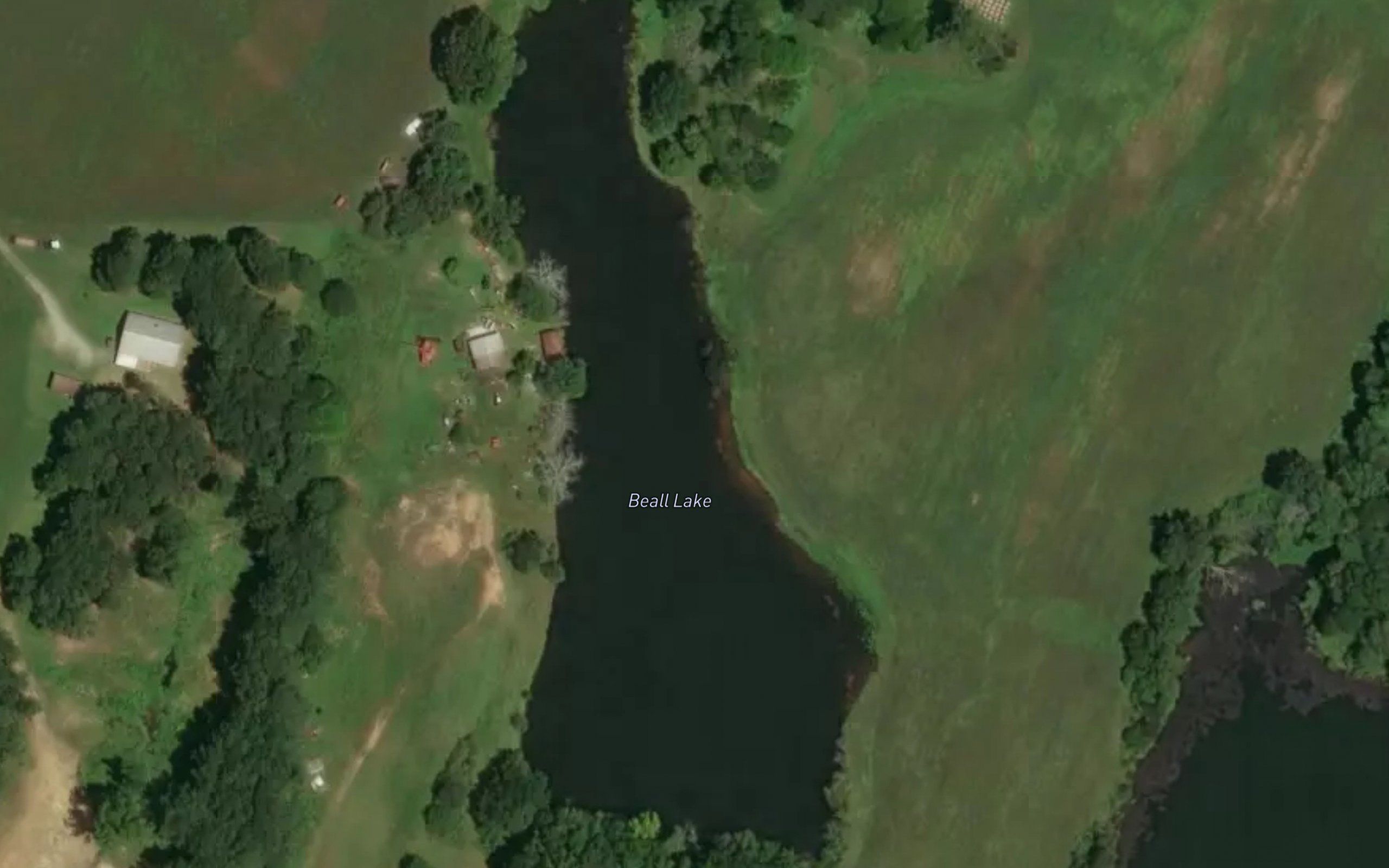 Beall Lake